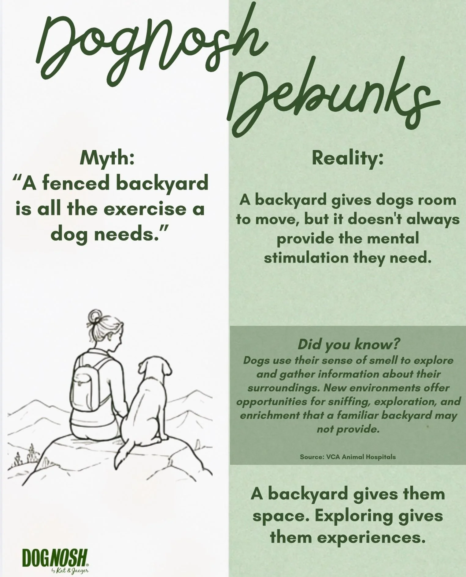 Just because your dog has a backyard doesn&rsquo;t mean they&rsquo;re getting all the enrichment they need.

A fenced yard is wonderful for play, exercise, and freedom to explore. But there&rsquo;s something a backyard can&rsquo;t always offer: New e