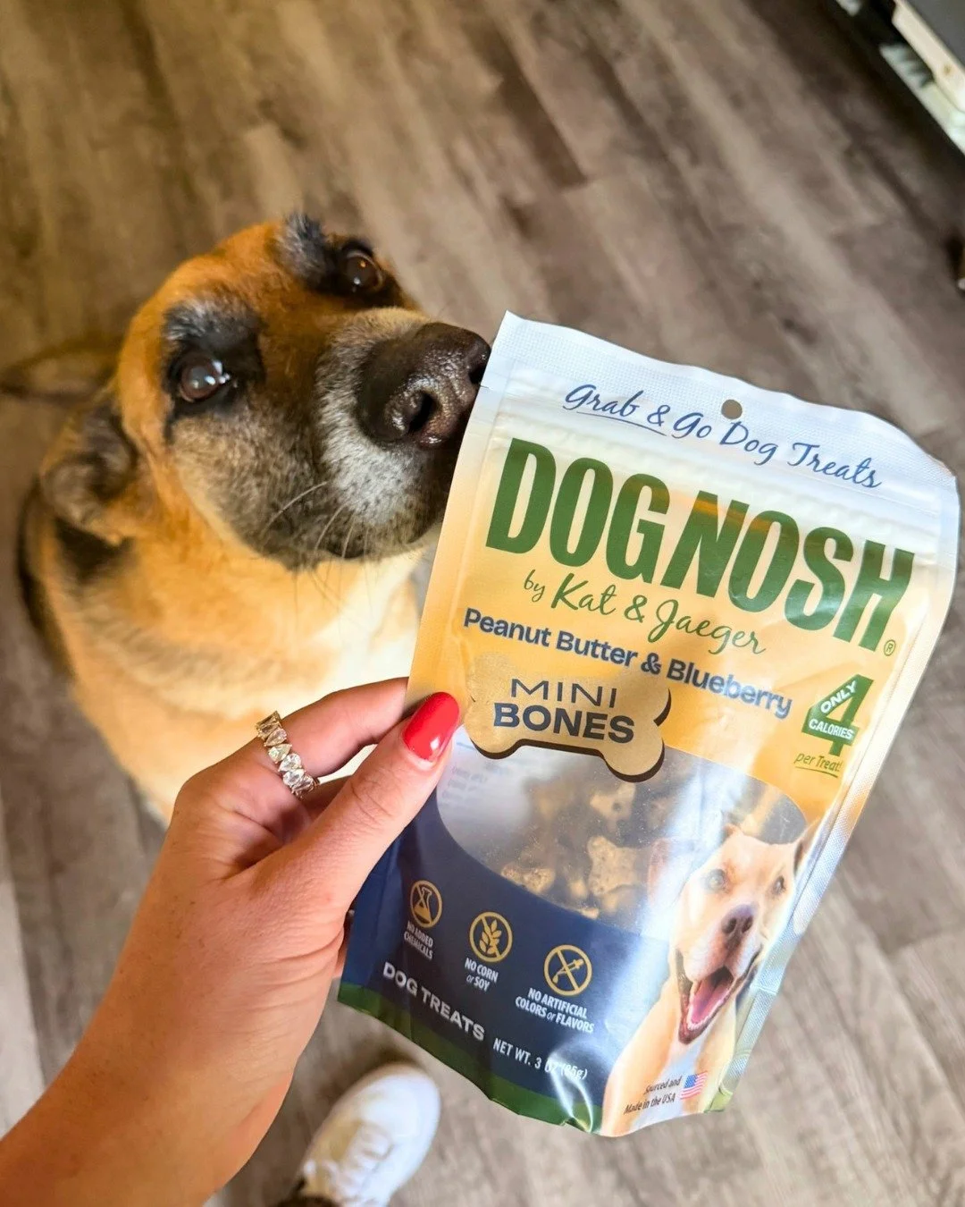 We LOVE seeing your fur babies enjoying their DogNosh treats! 🐾❤️
Tag us in your pics for a chance to be featured on our page. We want to see those happy faces and treat time moments! 📸🐶