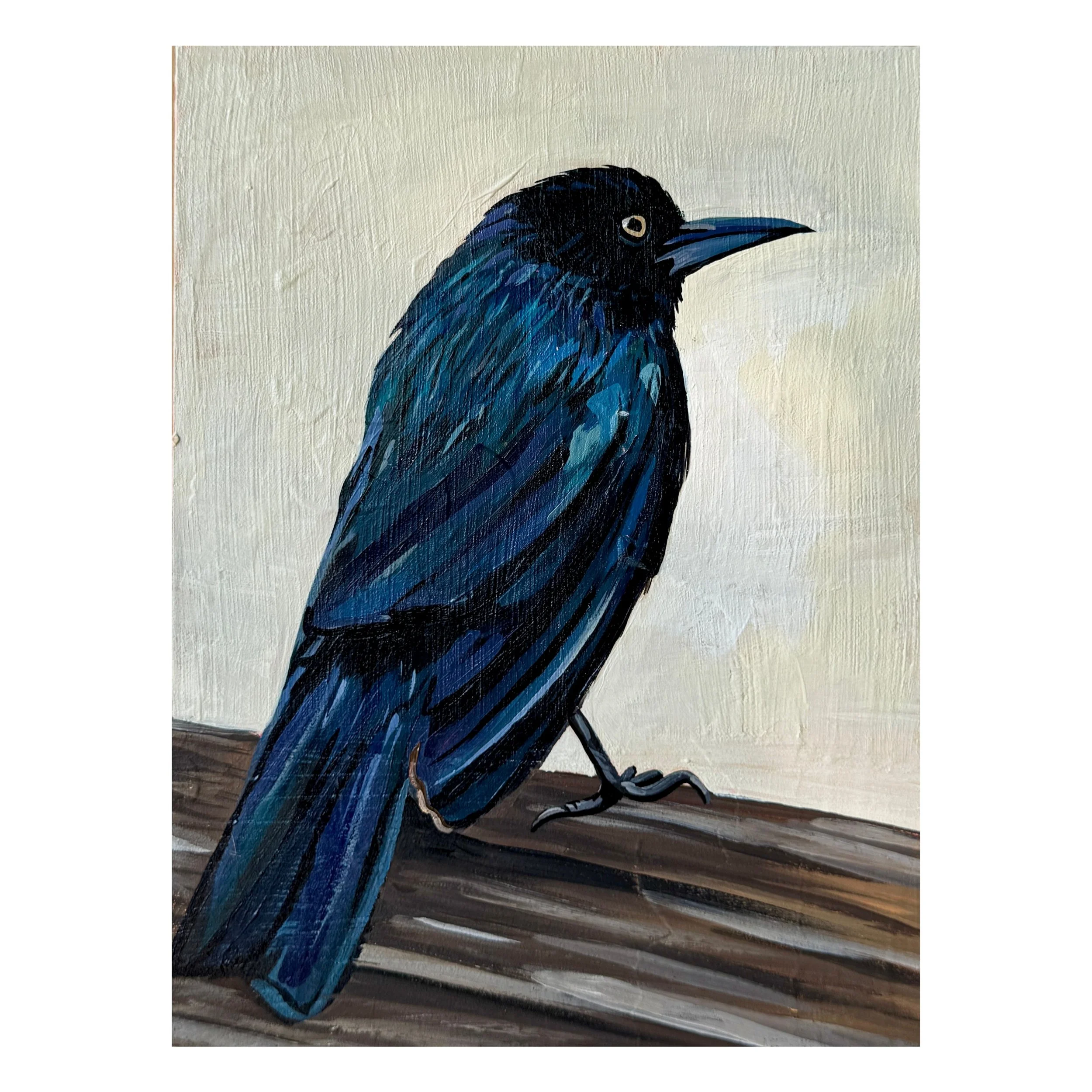 Tybee Island Crow