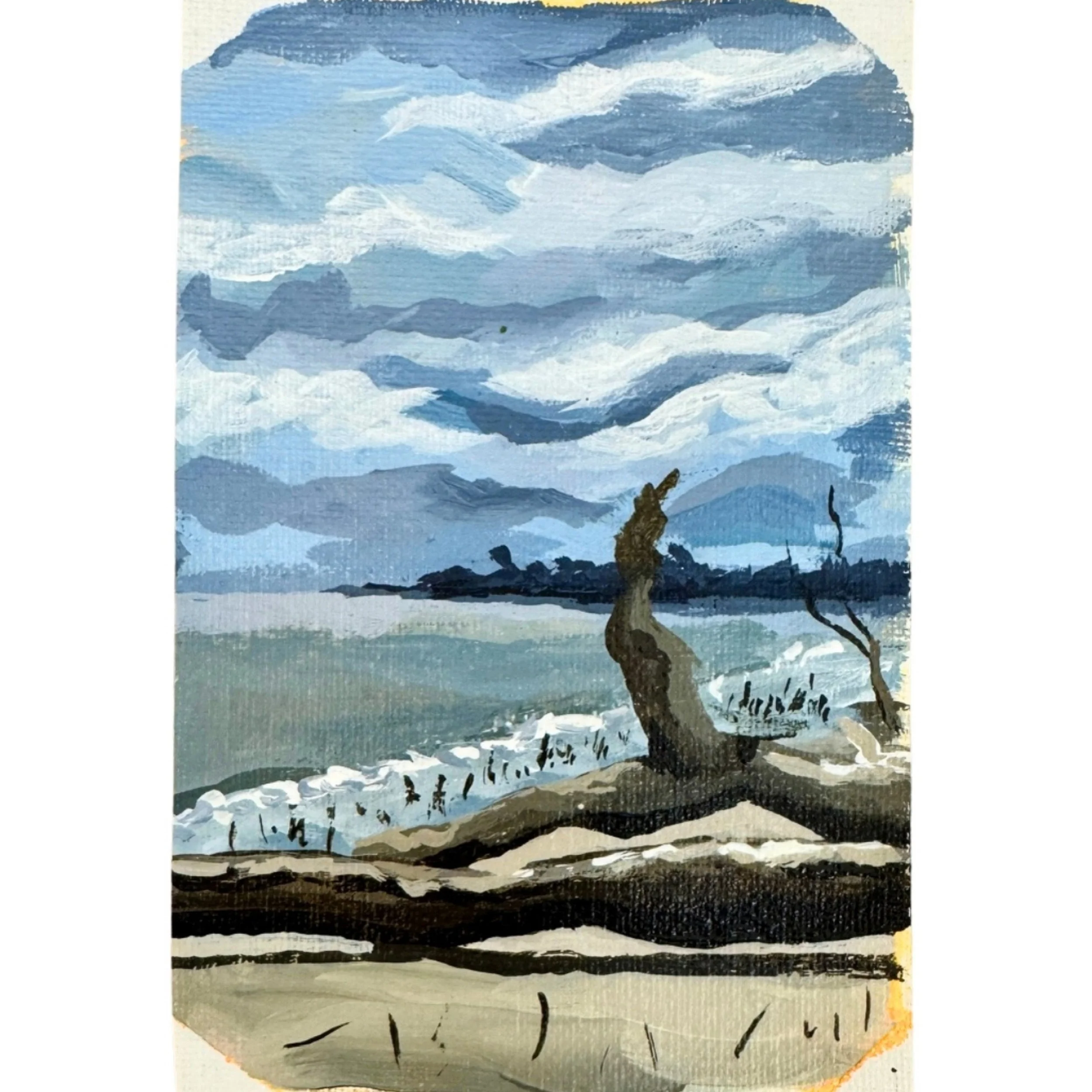 39.jpg