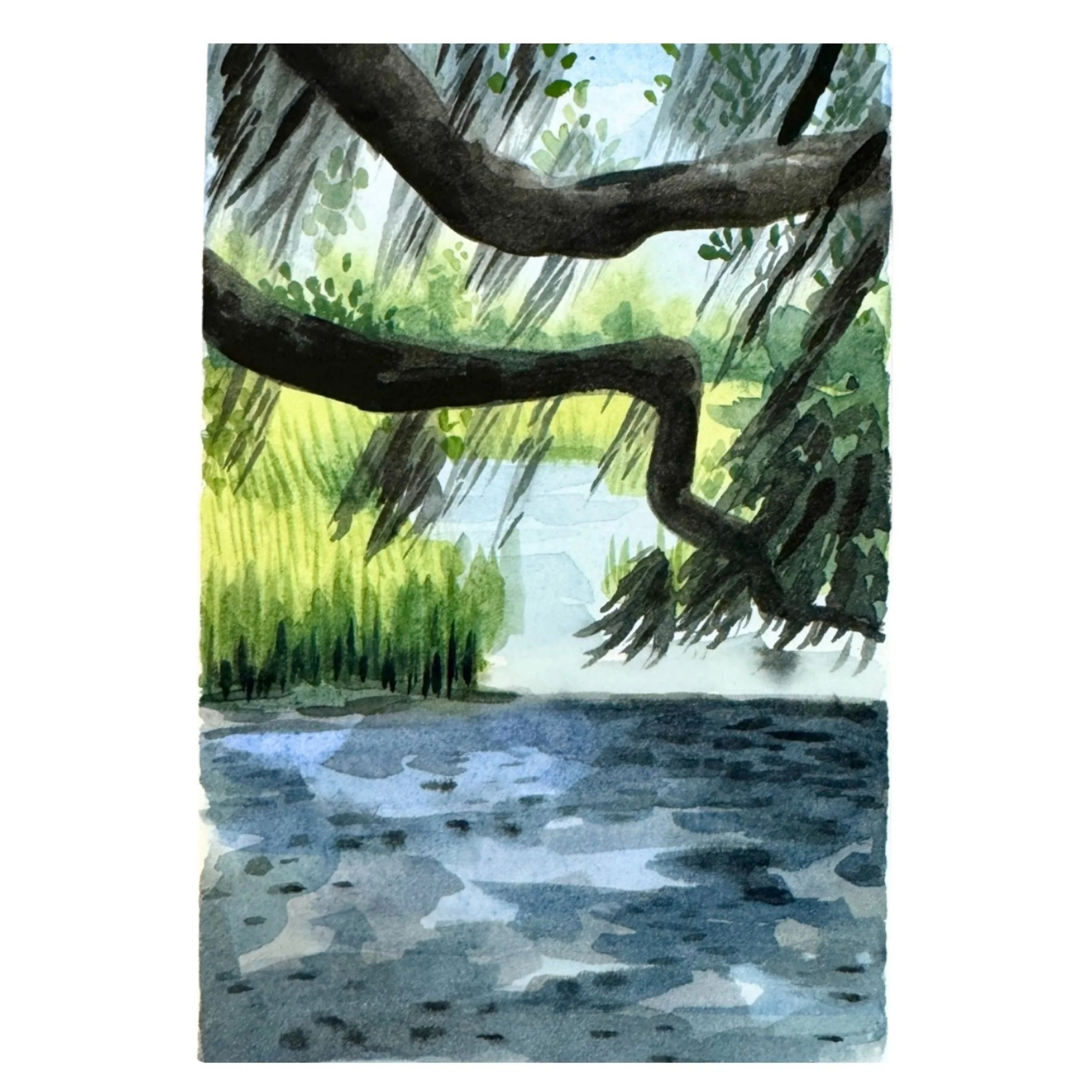 Skidaway