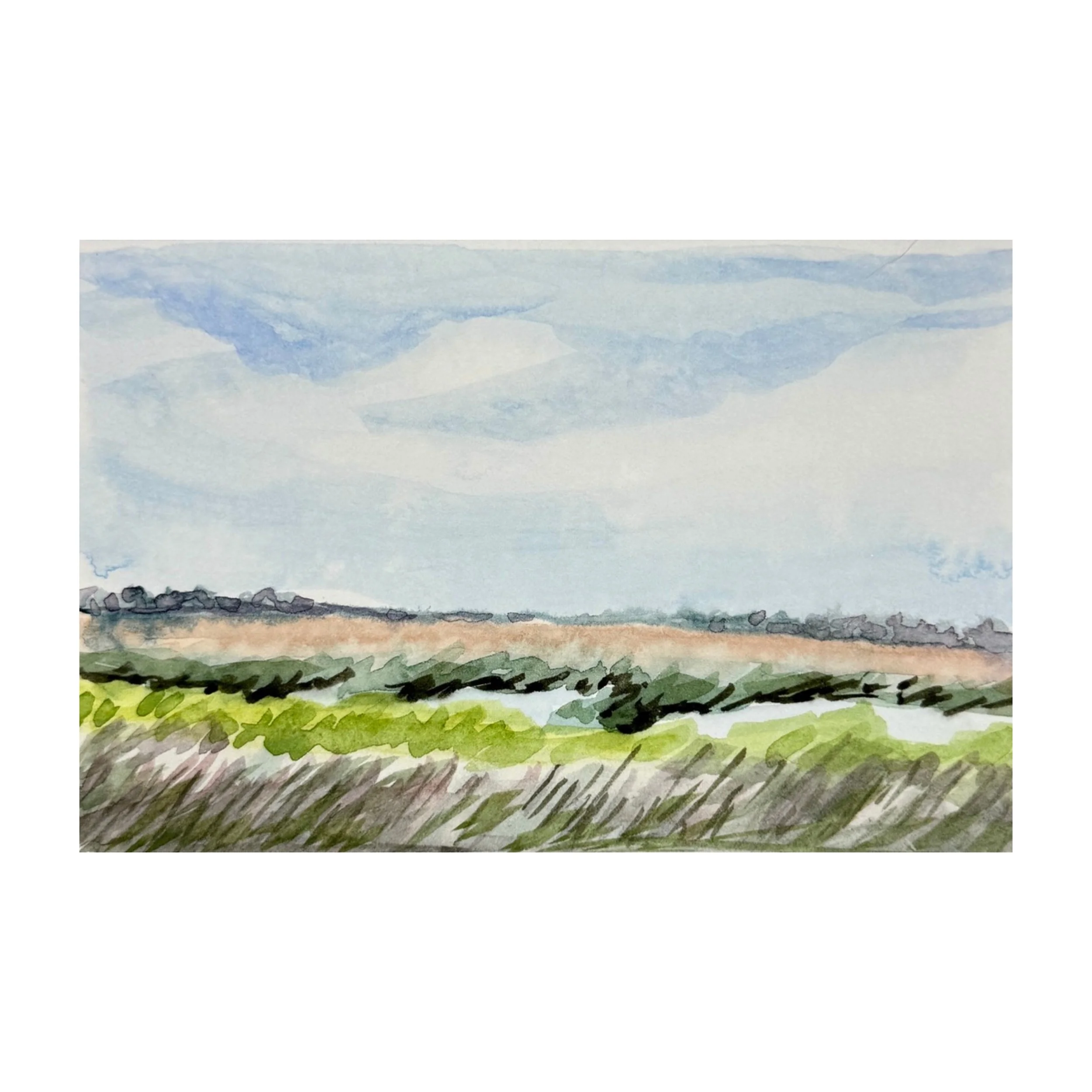 The Marsh 2