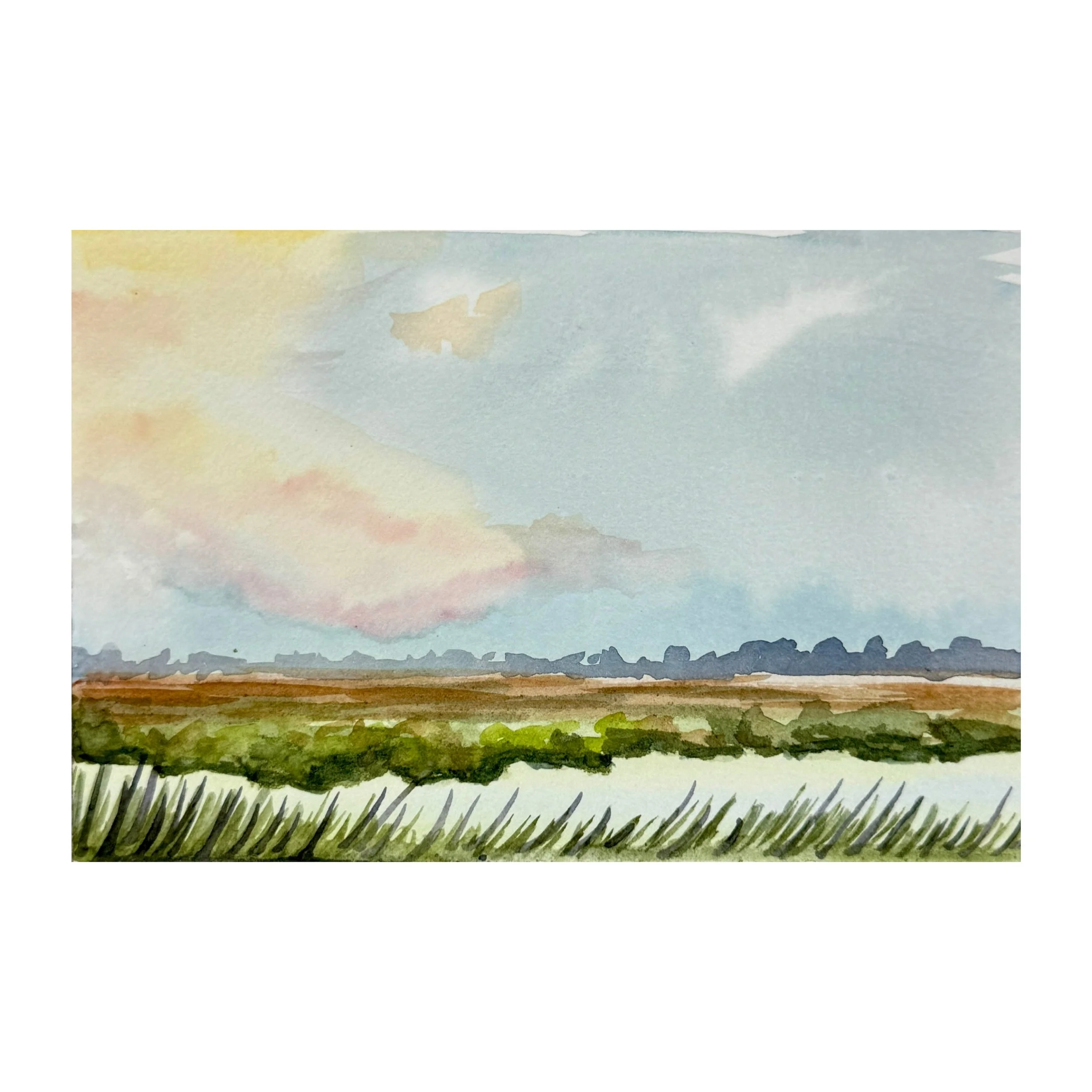 The Marsh 1