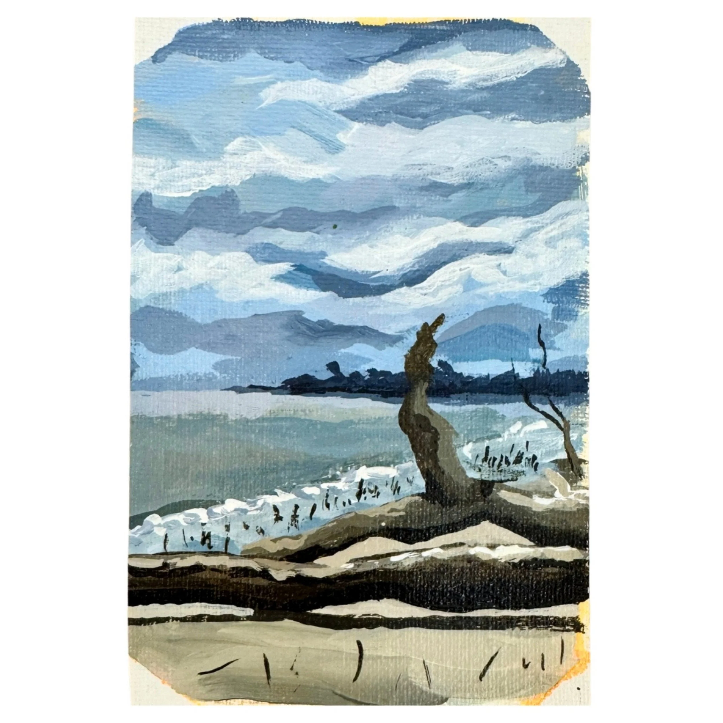 Boneyard Beach