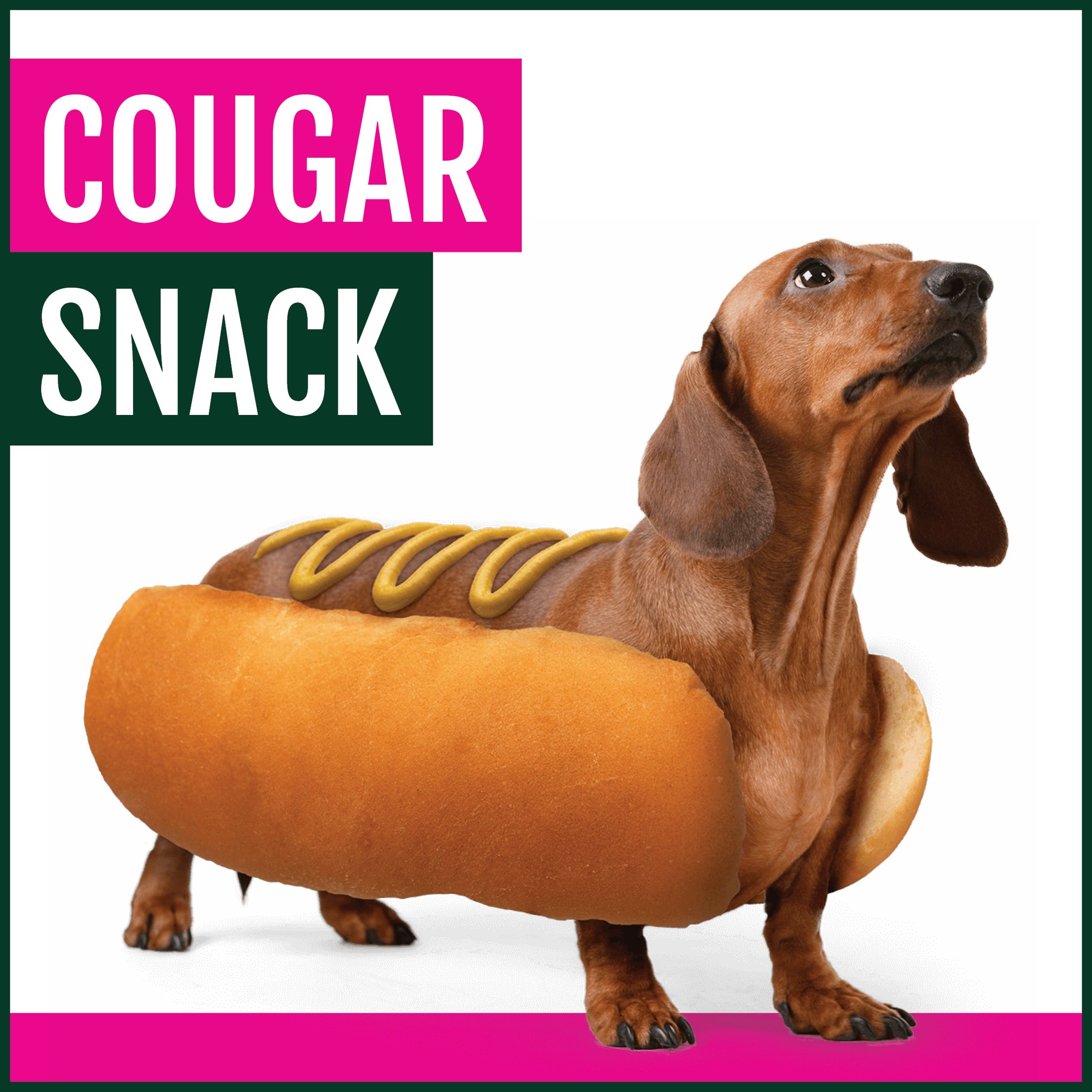 CougarSnack_WhiteBG_1080x1080.jpg