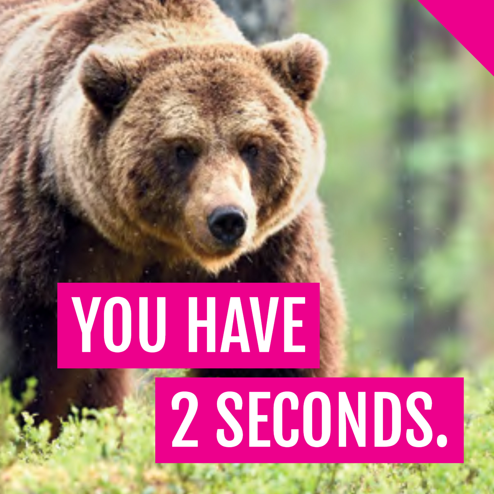 Carry your bear spray and know how to use it.