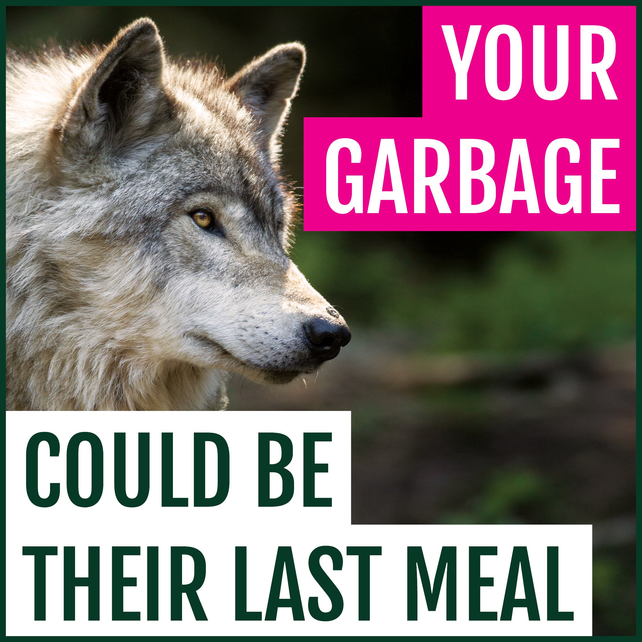 LastMeal_v2_1080x1080.jpg