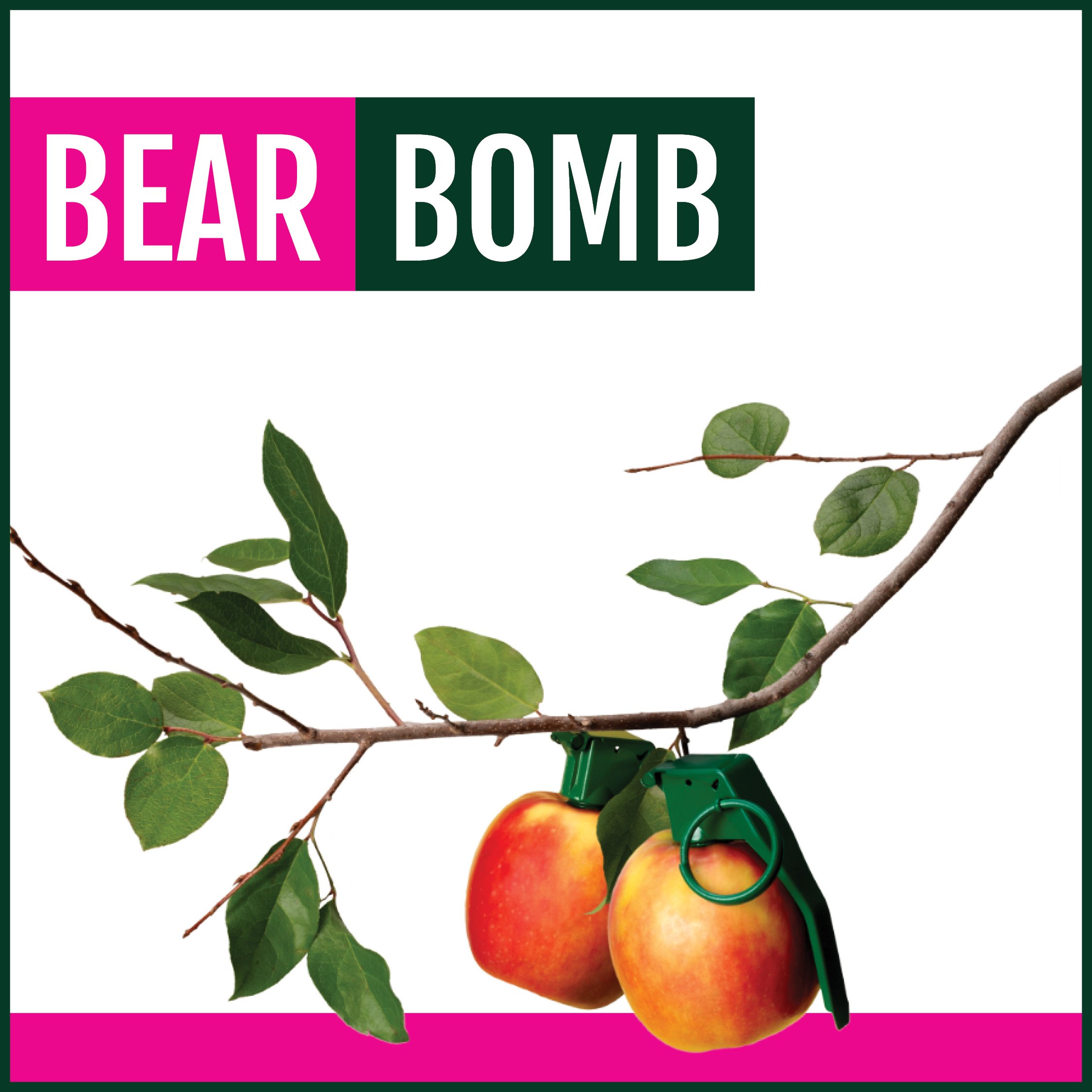 BearBomb_WhiteBG_1080x1080.jpg
