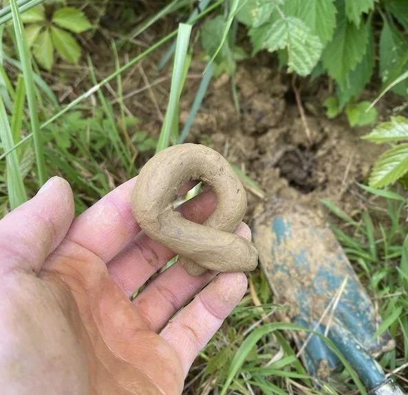 Test de plasticité d’une argile sauvage avant récolte
