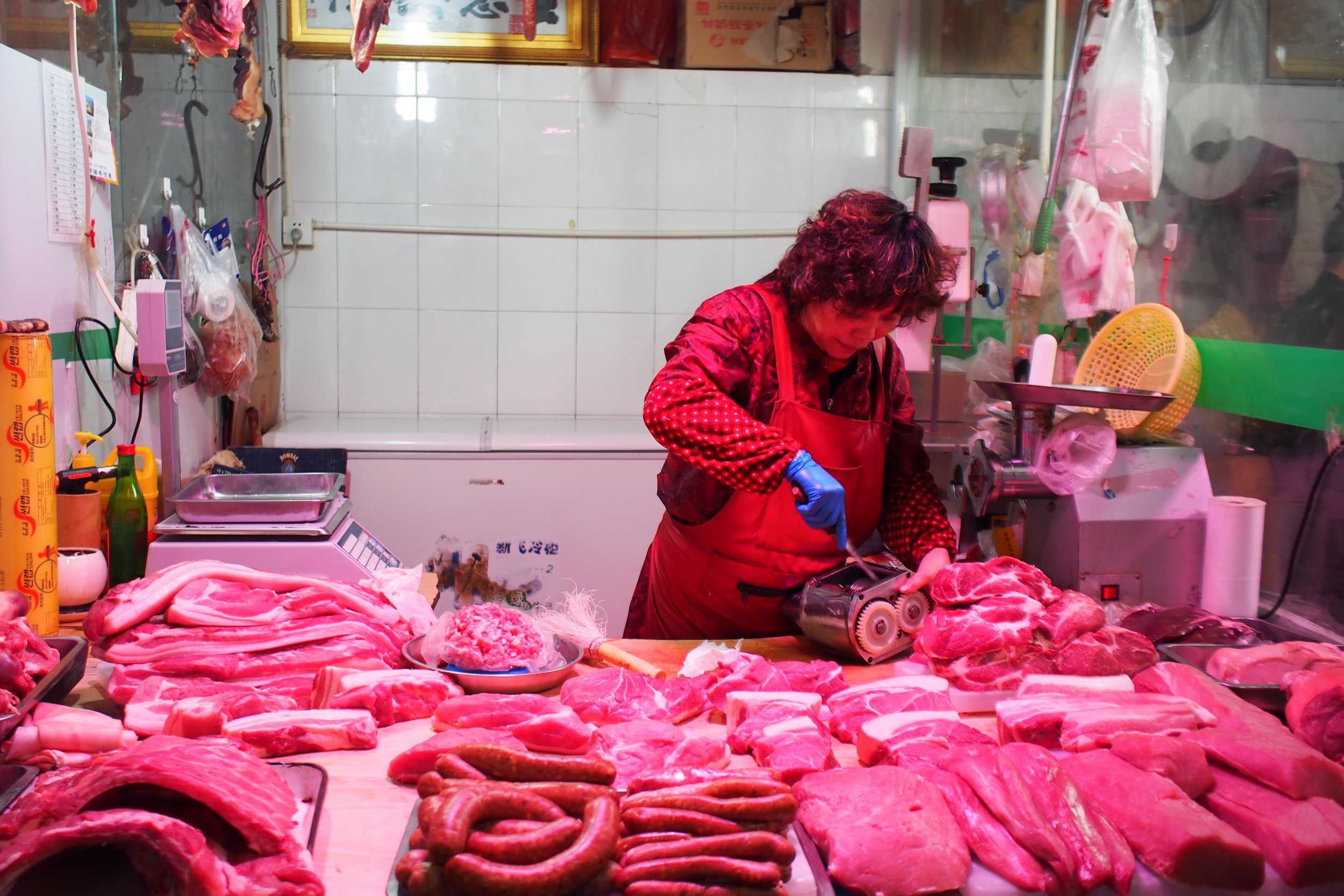 P1010749.jpg