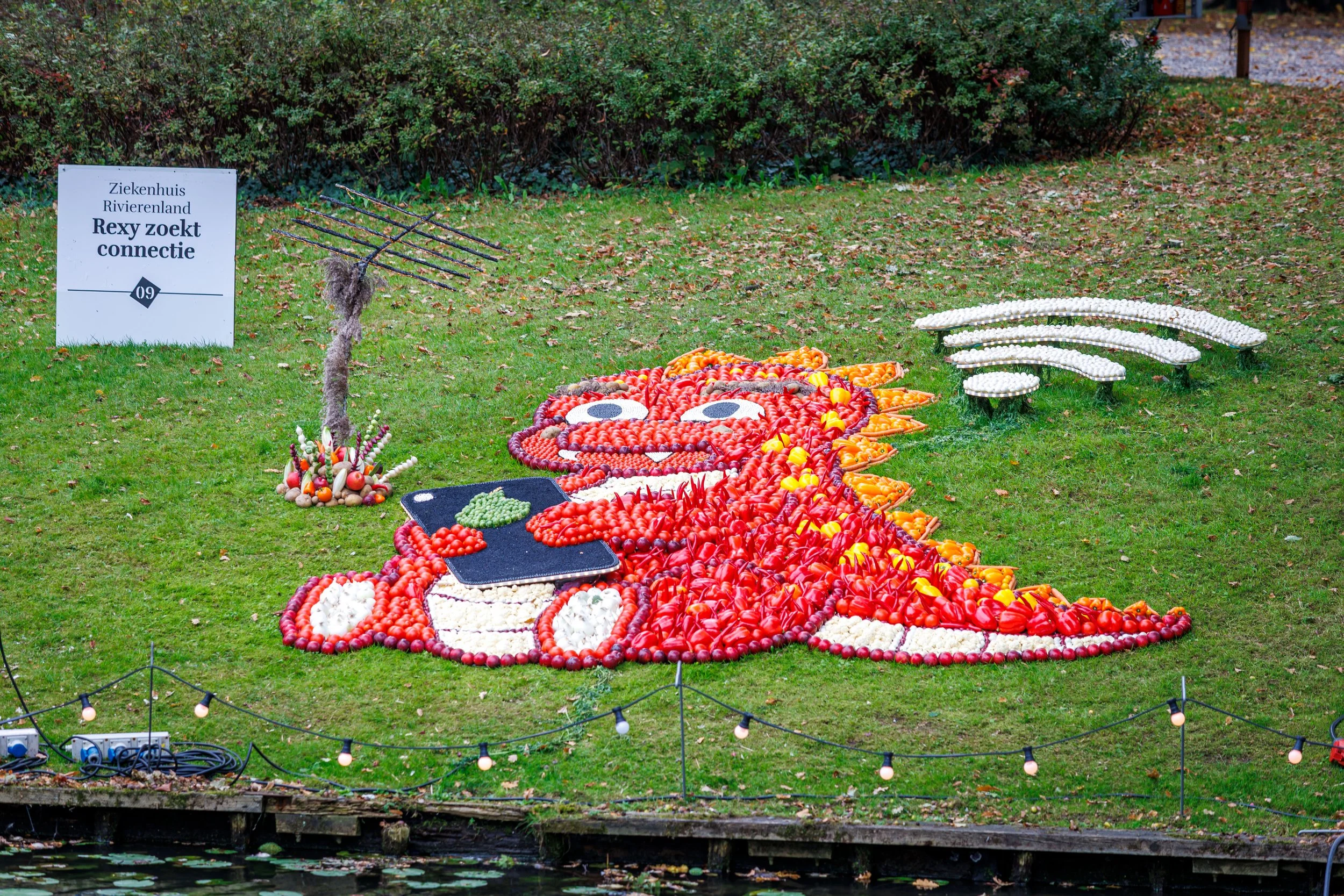 06 Ziekenhuis Rivierenland "Rexy zoekt connectie"
