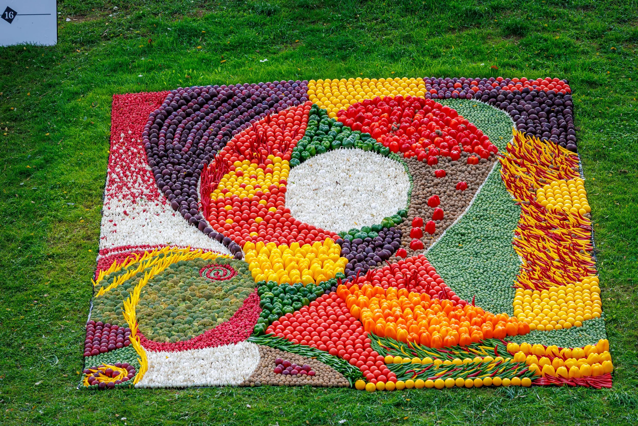 15 Corsowagen Tiel "Abstract: De kunst van fruit"