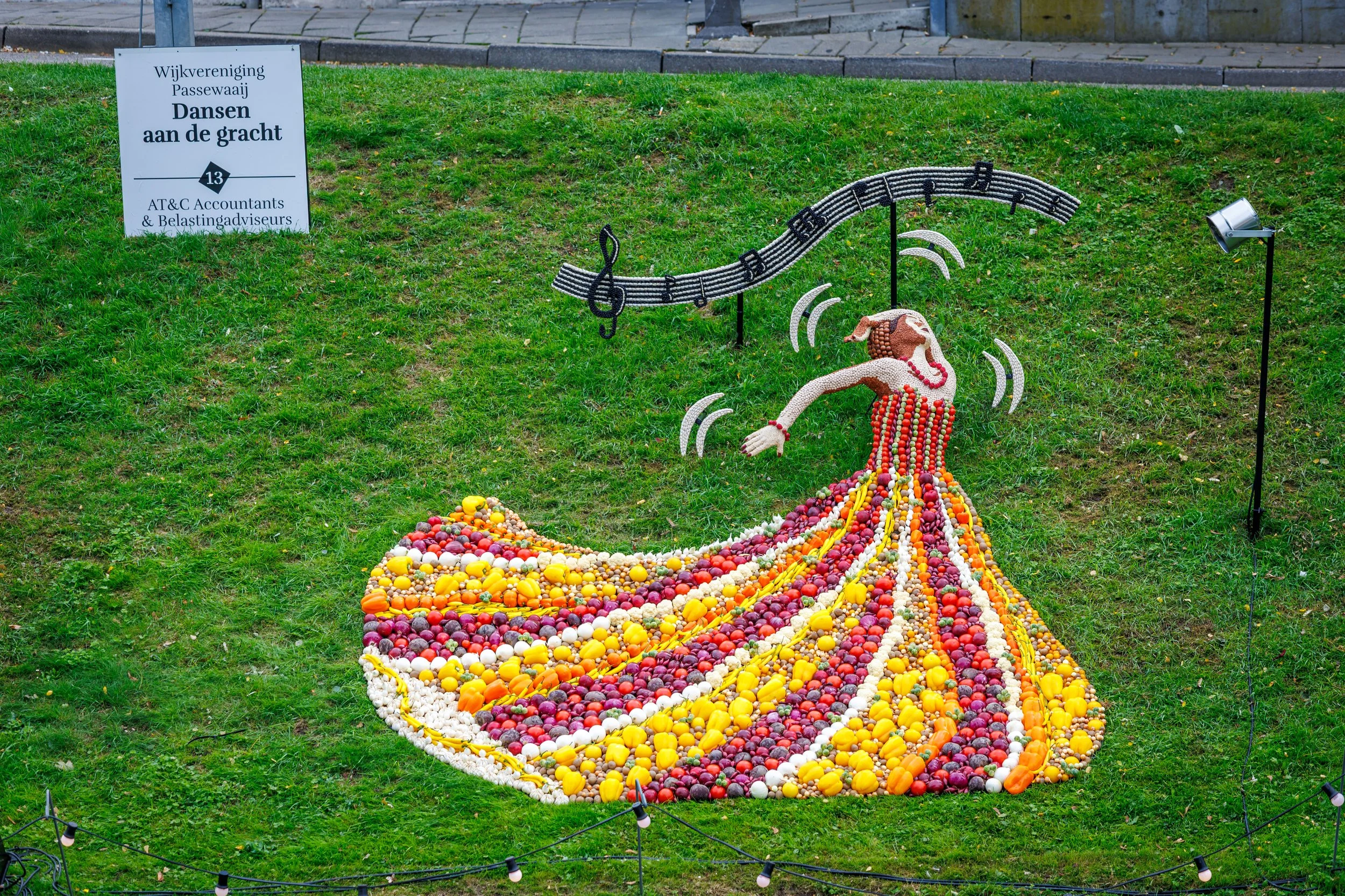 11 Wijkvereniging Passewaaij "Dansen aan de gracht"