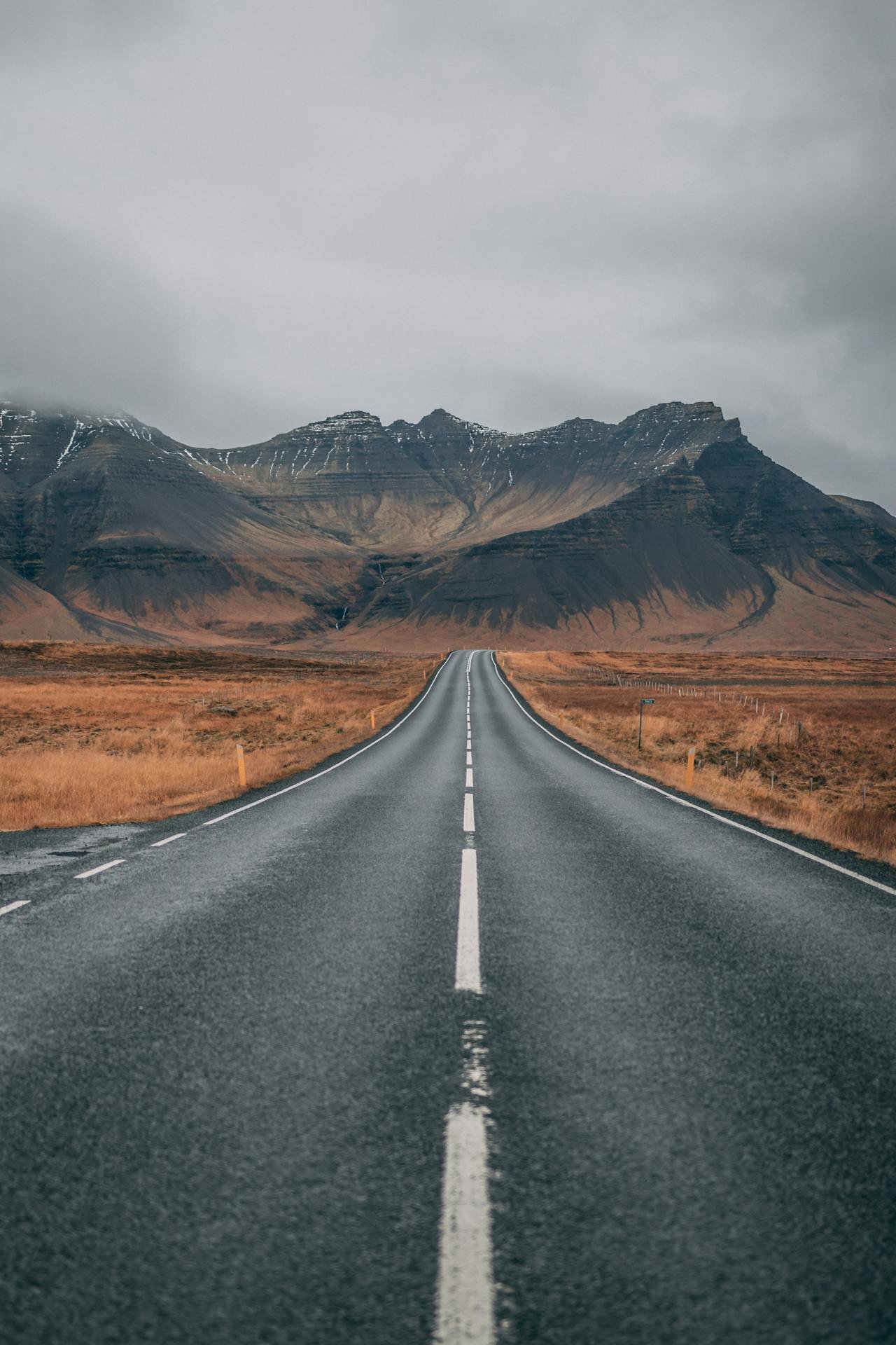 2025: A year of opportunities (despite a few bumps along the way)