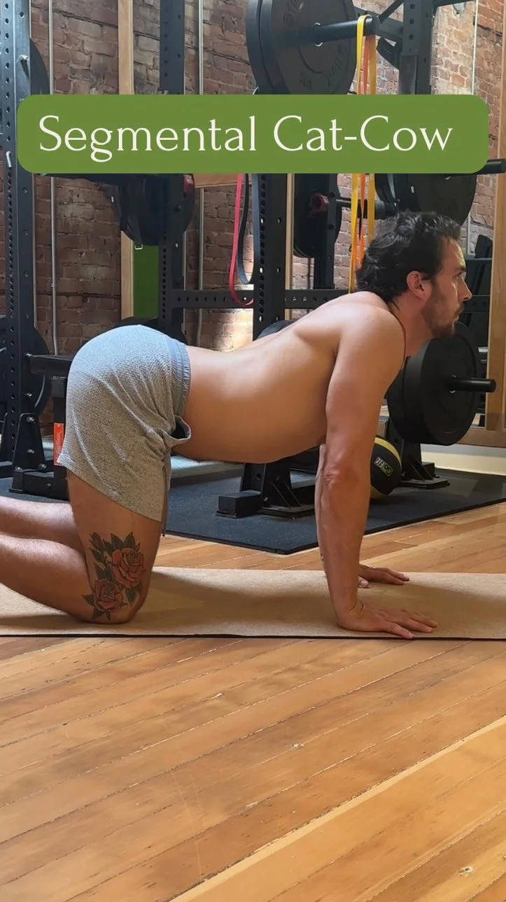 The segmental cat-cow isn’t just a stretch — it’s a tool to help you:
🌱 Release chronic stiffness
🌱 Build stability through your core
🌱 Develop control in end-range spinal flexion + extension
Your spine is your foundation &mdash
