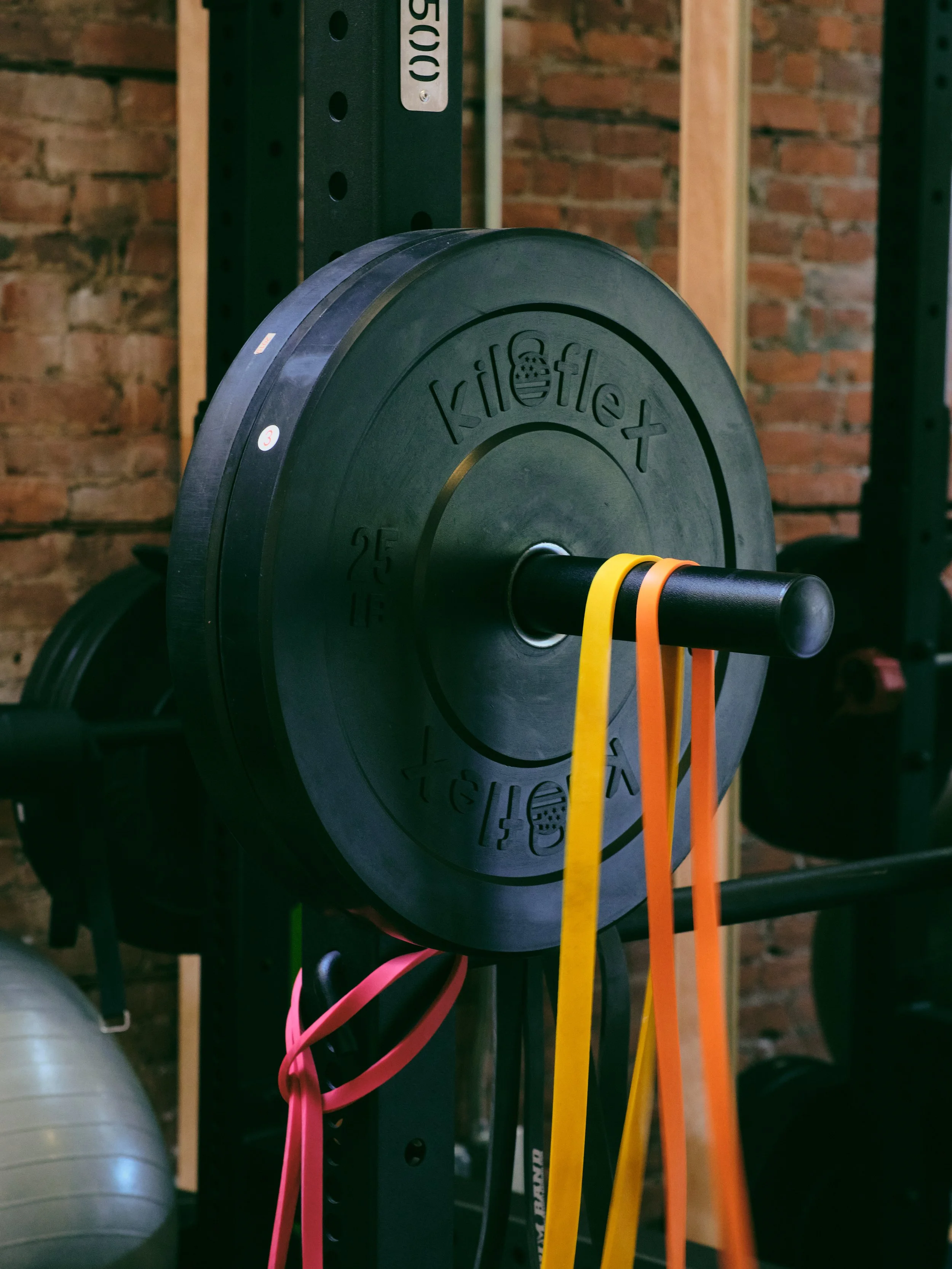 Squat Rack