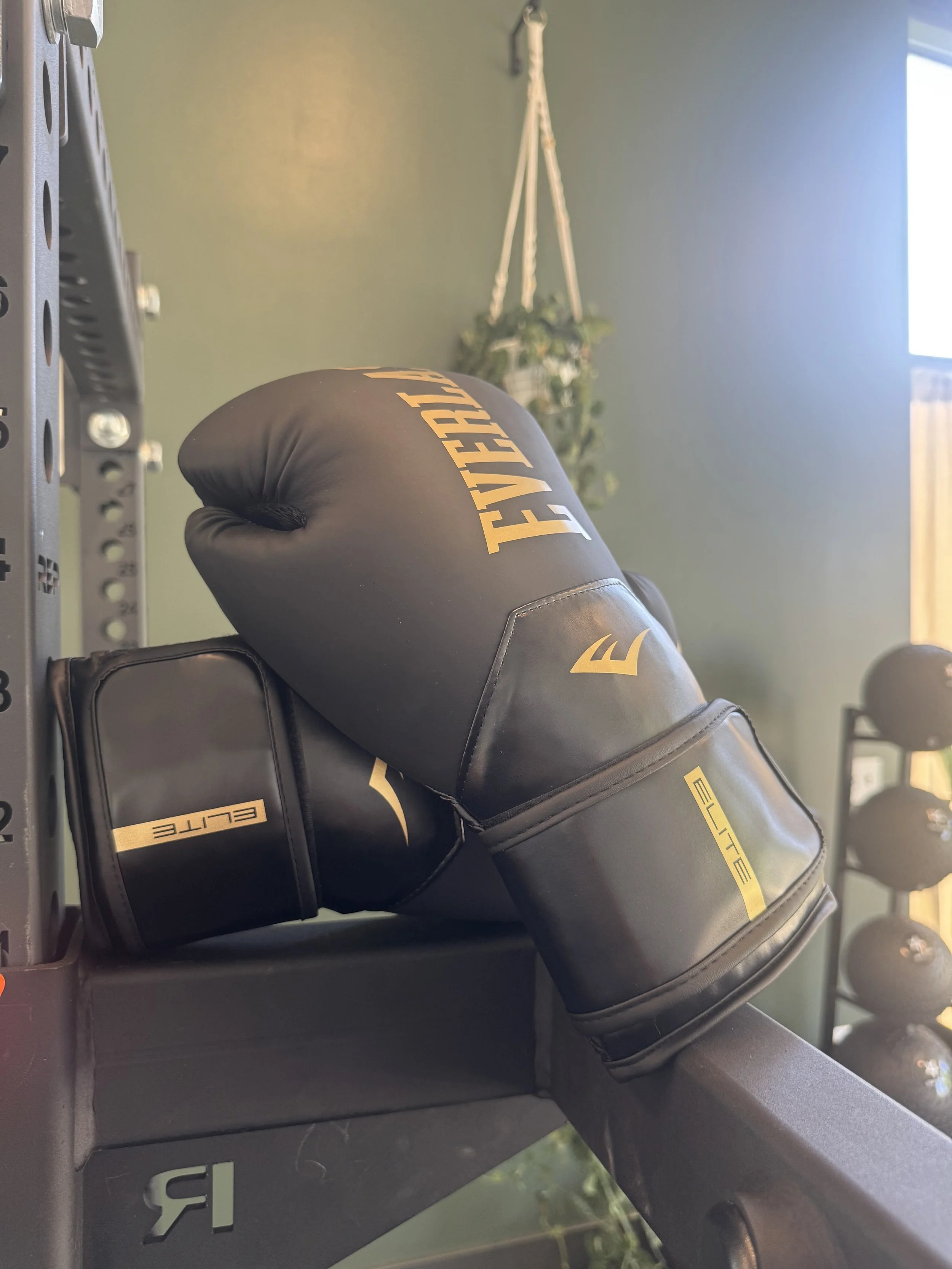 A black boxing glove with yellow lettering resting on a weight rack in a gym. In the background, a hanging plant is visible on a green wall.