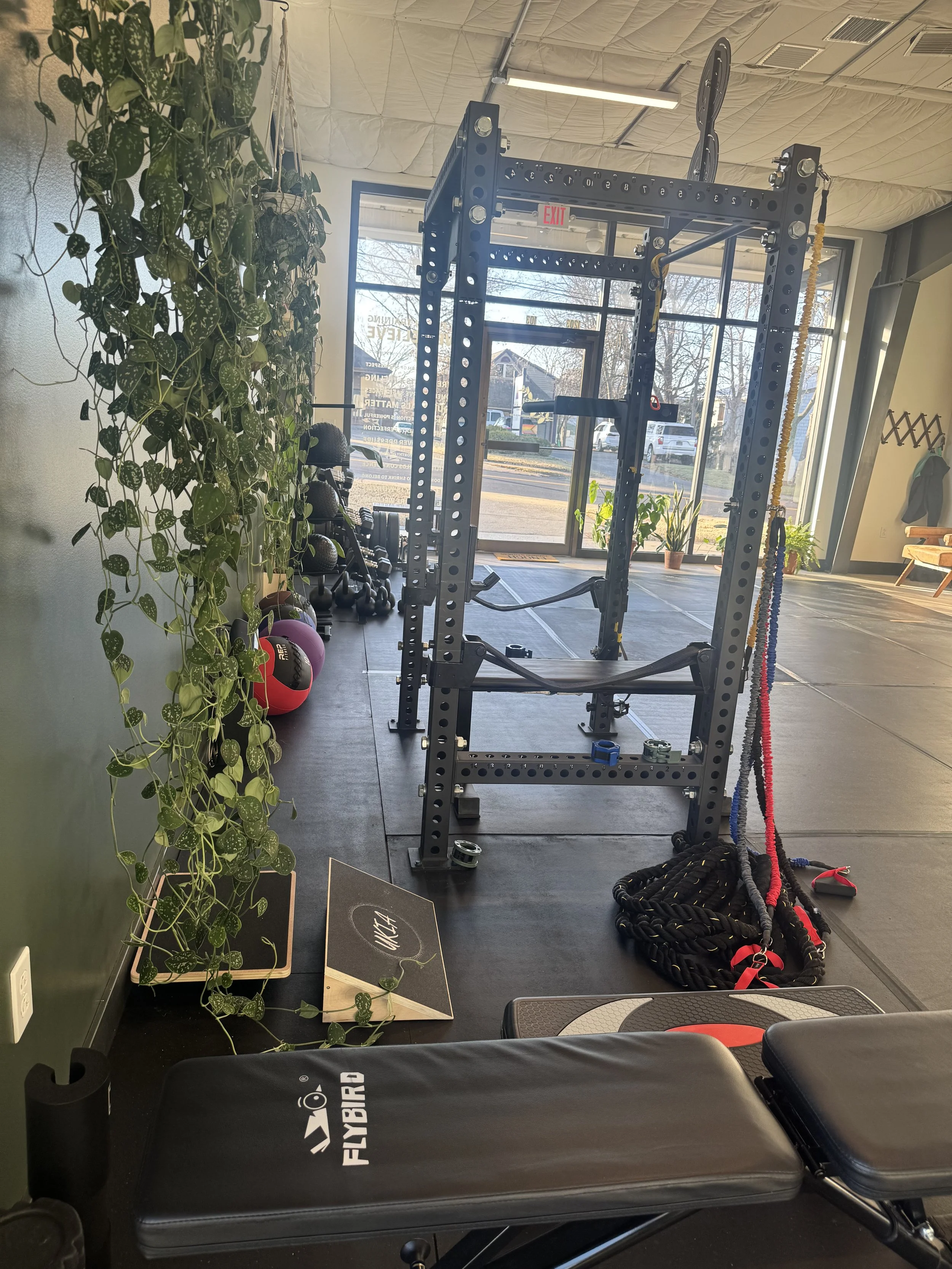 Gym interior with black metal power rack, resistance bands on the floor, a plyometric box, medicine balls, kettlebells, workout gloves, and a stretching bench near large windows with sunlight and plants inside.