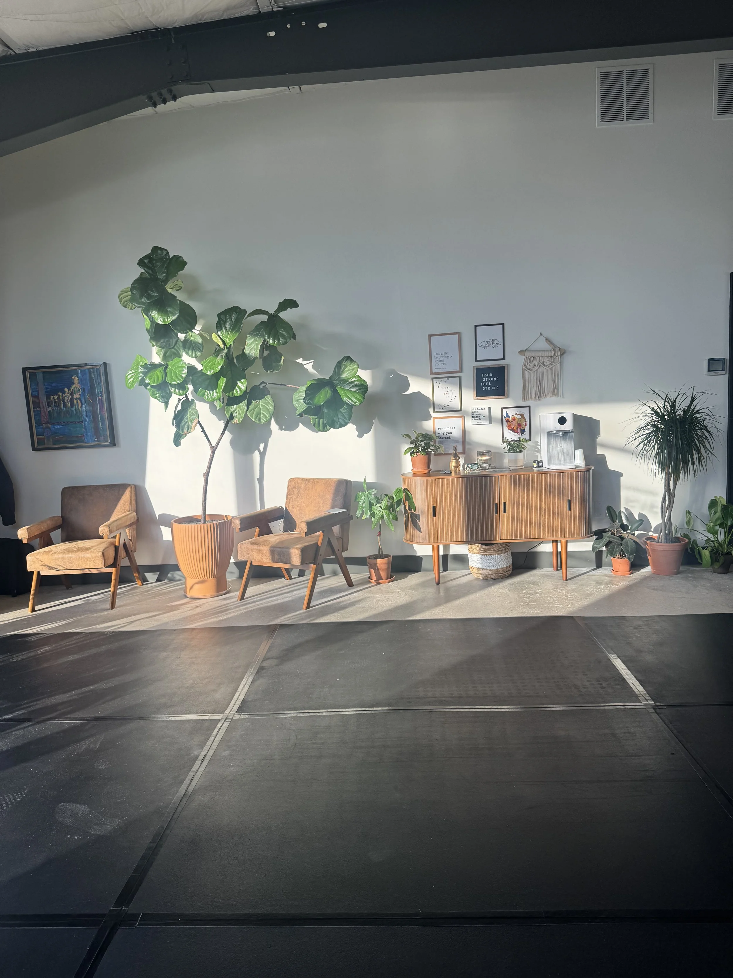 A cozy indoor space with two brown armchairs, large green potted plants, a wooden sideboard, and framed artwork on a white wall, illuminated by natural sunlight.