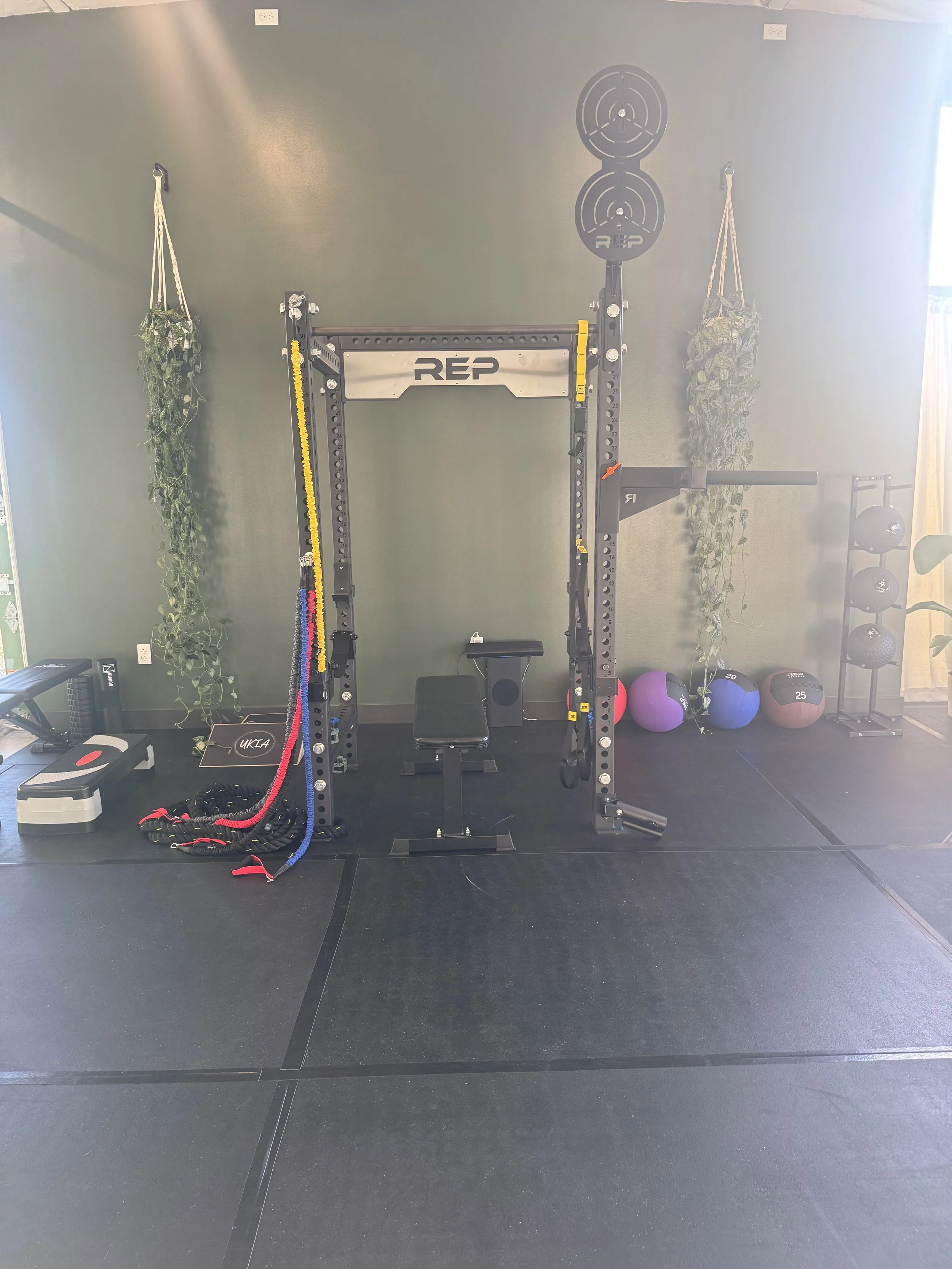 Empty gym workout area with a power rack, resistance bands, medicine balls, and wall-mounted weight plate holders.