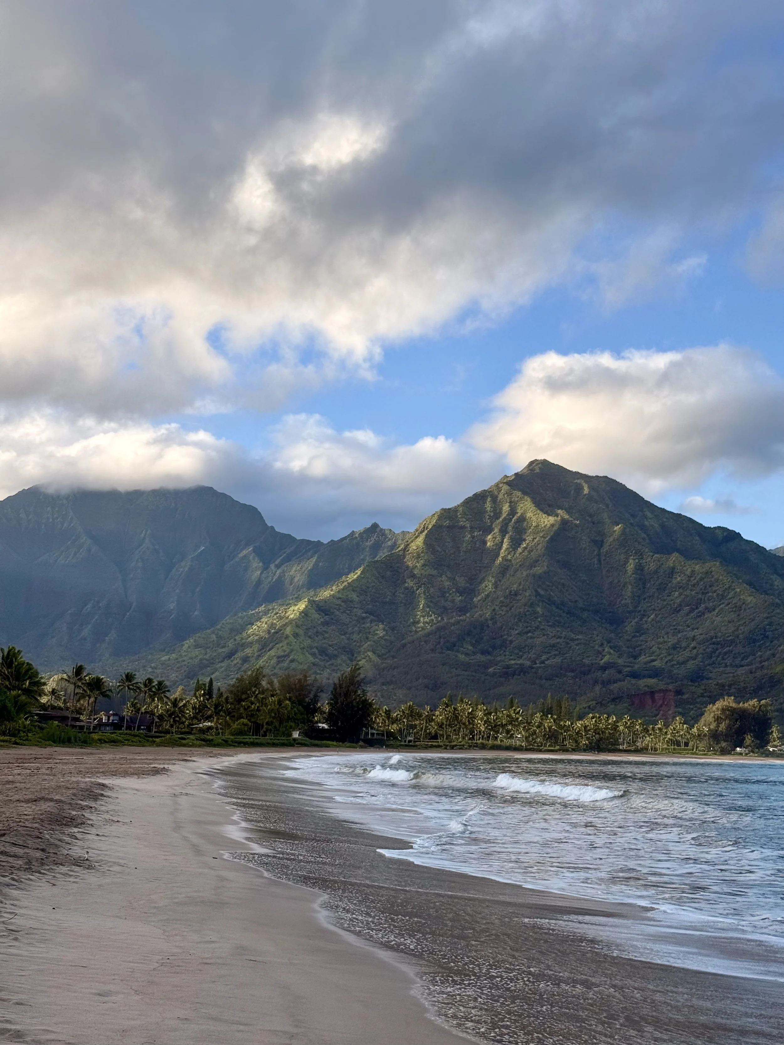 hanalei beach walk.jpeg