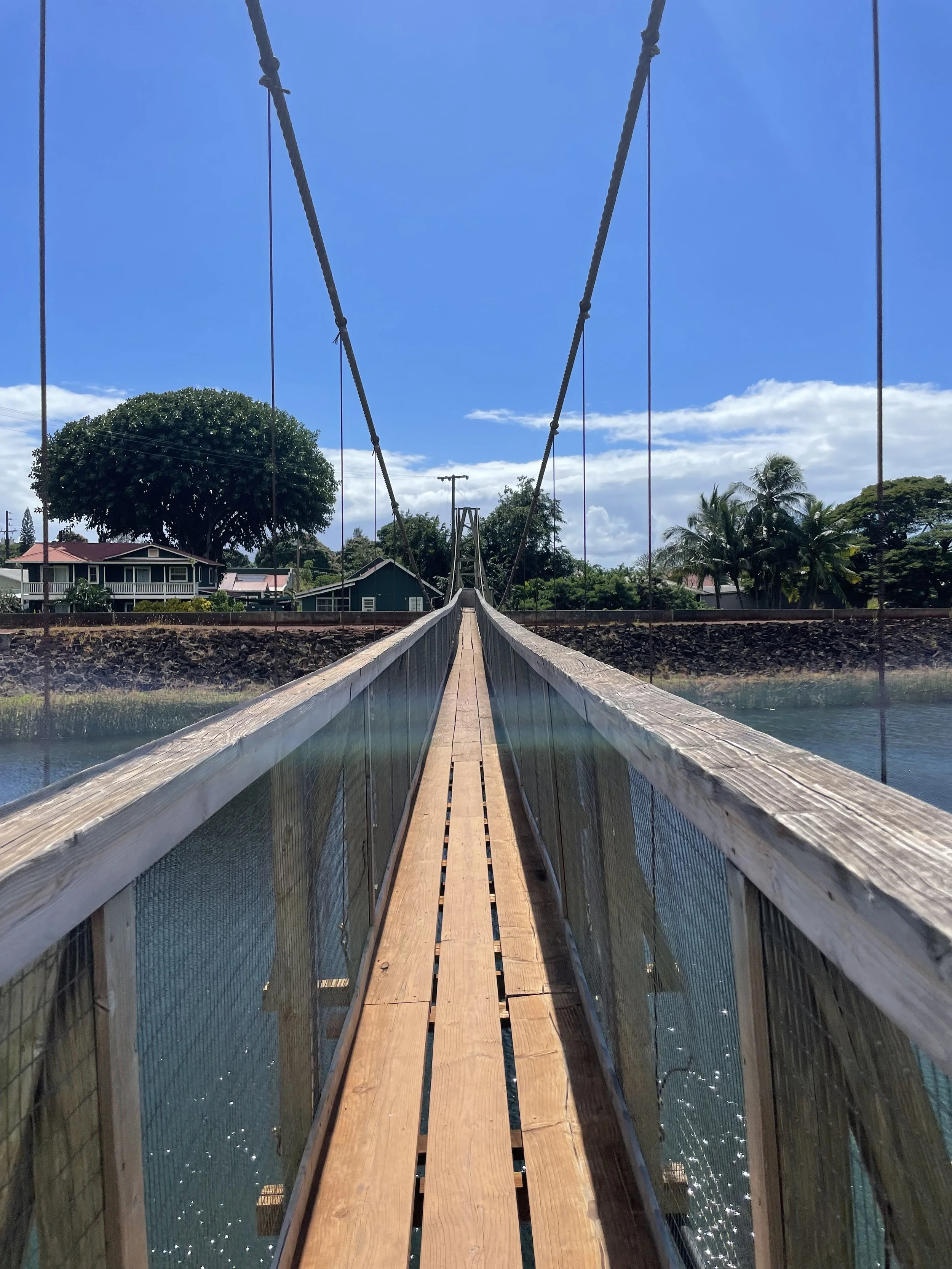 swinging bridge.jpeg