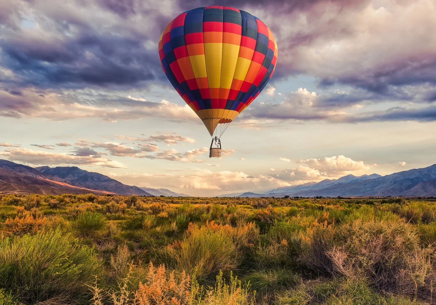 Discovering the Joy of Forgiveness:&nbsp; (Sandy Hoenig)