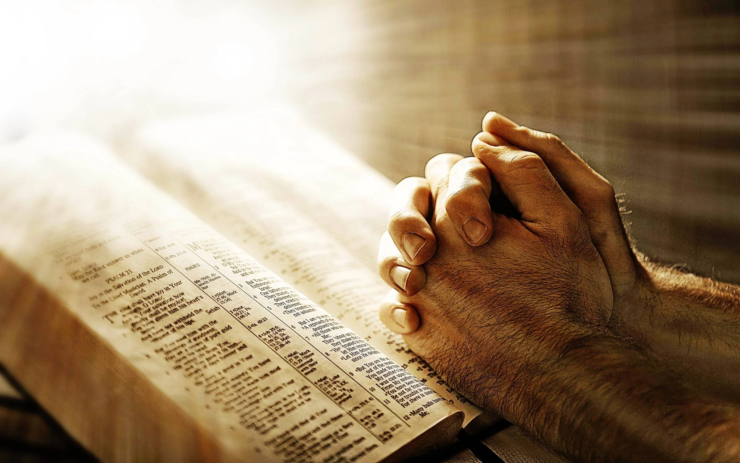 Becoming a Saint Day by Day (Deacon David A. Probst, EdD)