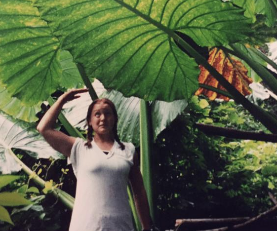 Social Media Marketing is like eating bugs. Here’s why.