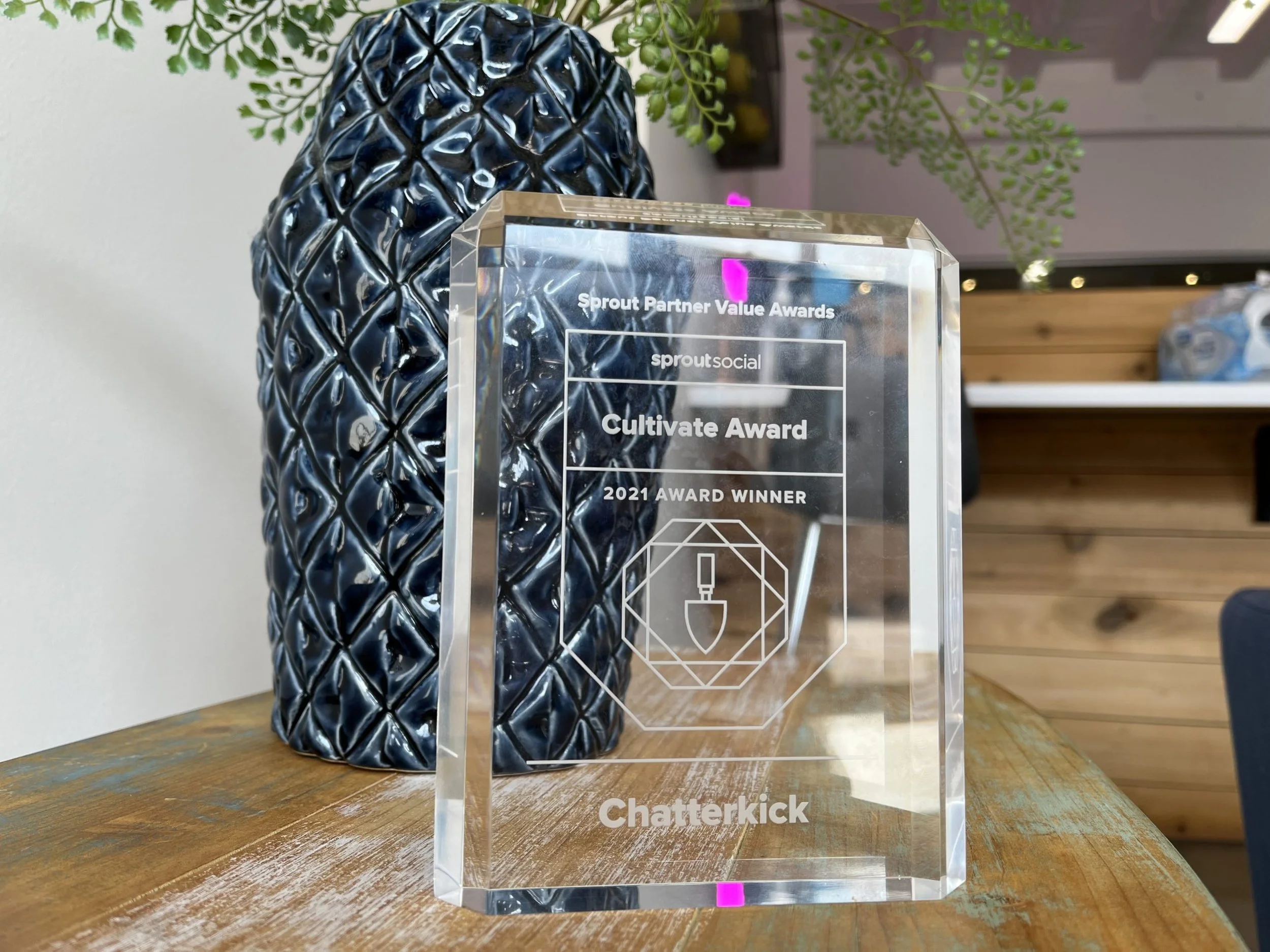 A clear acrylic award with engraved text and graphics, placed on a wooden table. The award reads "Sprout Partner Value Awards," "Cultivate Award," "2021 Award Winner," and features a graphic of a trowel. It is positioned in front of a tall, textured black ceramic pineapple and some greenery in the background.