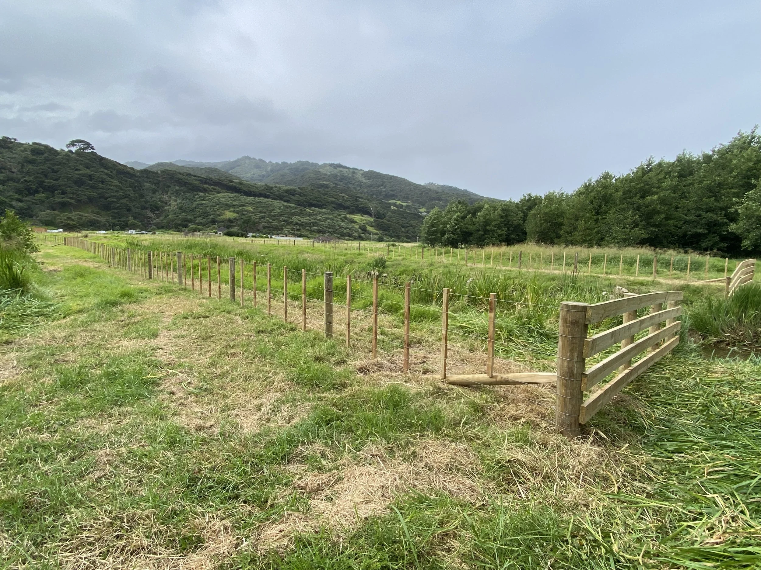 Rural stock yards landscape with wooden fence and green hills