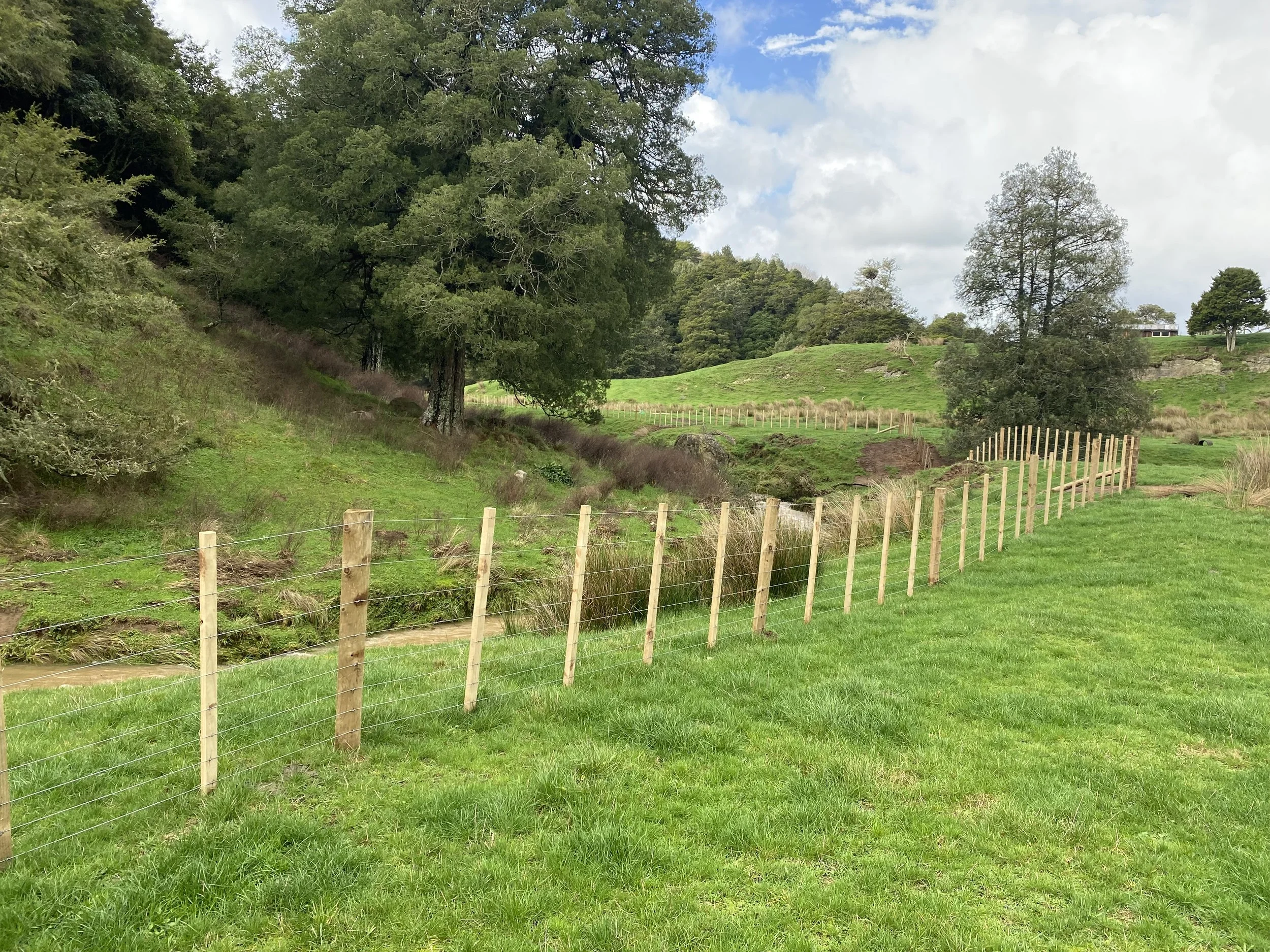 Wooden fence on grassy slope with trees and cloudy sky.