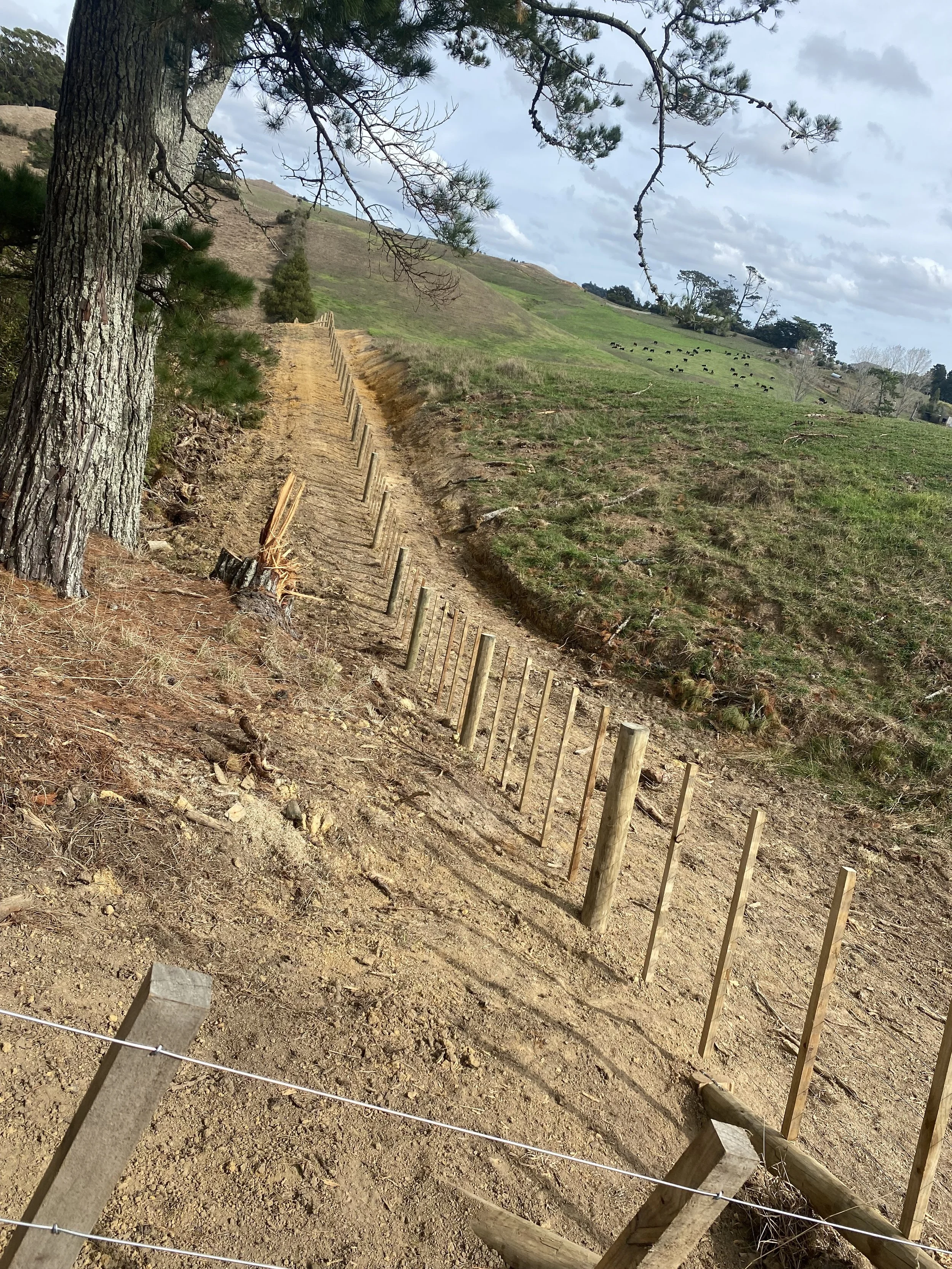 Dirt path between two fields separated by a wood and wire fence, surrounded by trees and a grassy hillside.