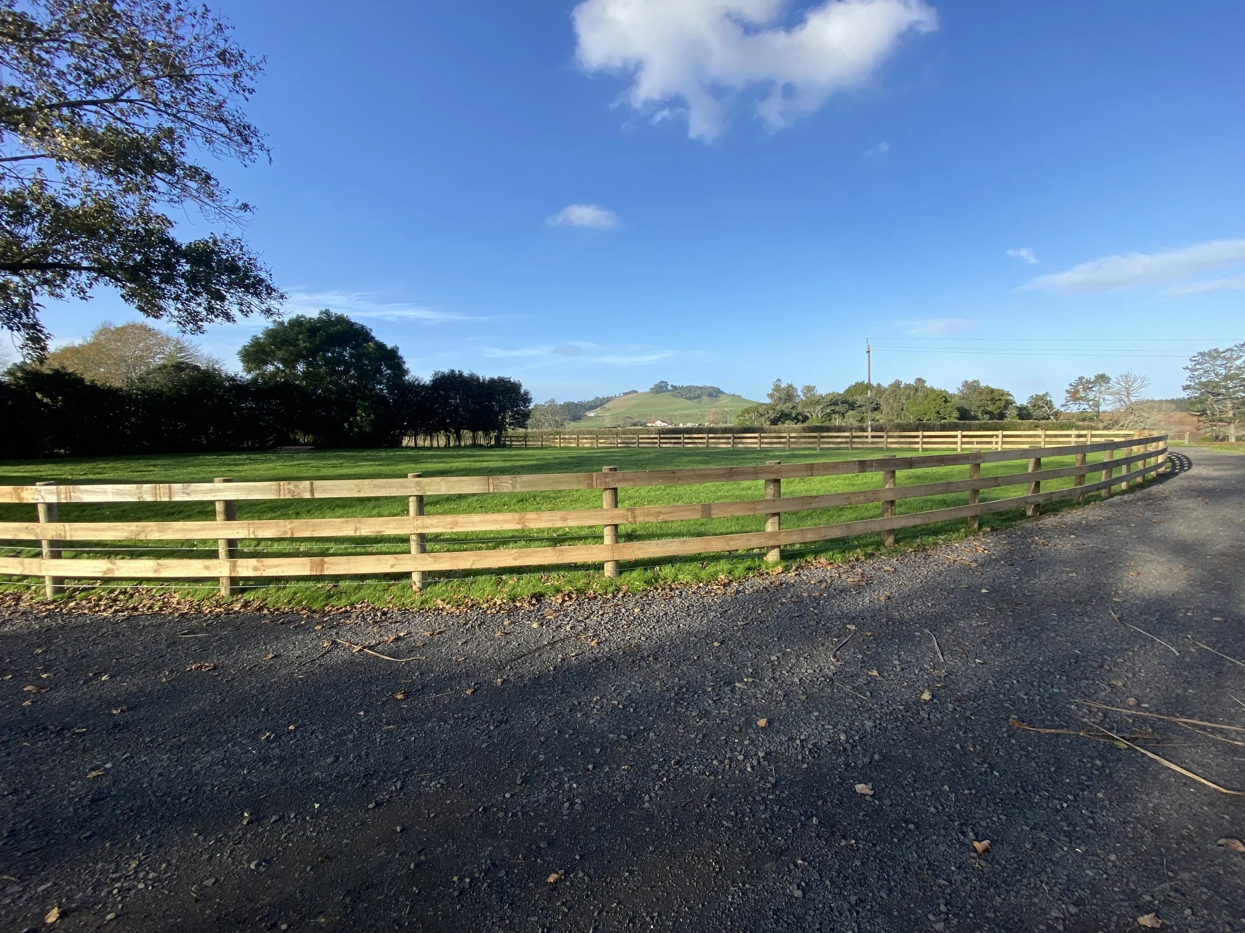 lifestyle block with wooden boundary fencing, gravel driveway, and trees under a clear blue sky