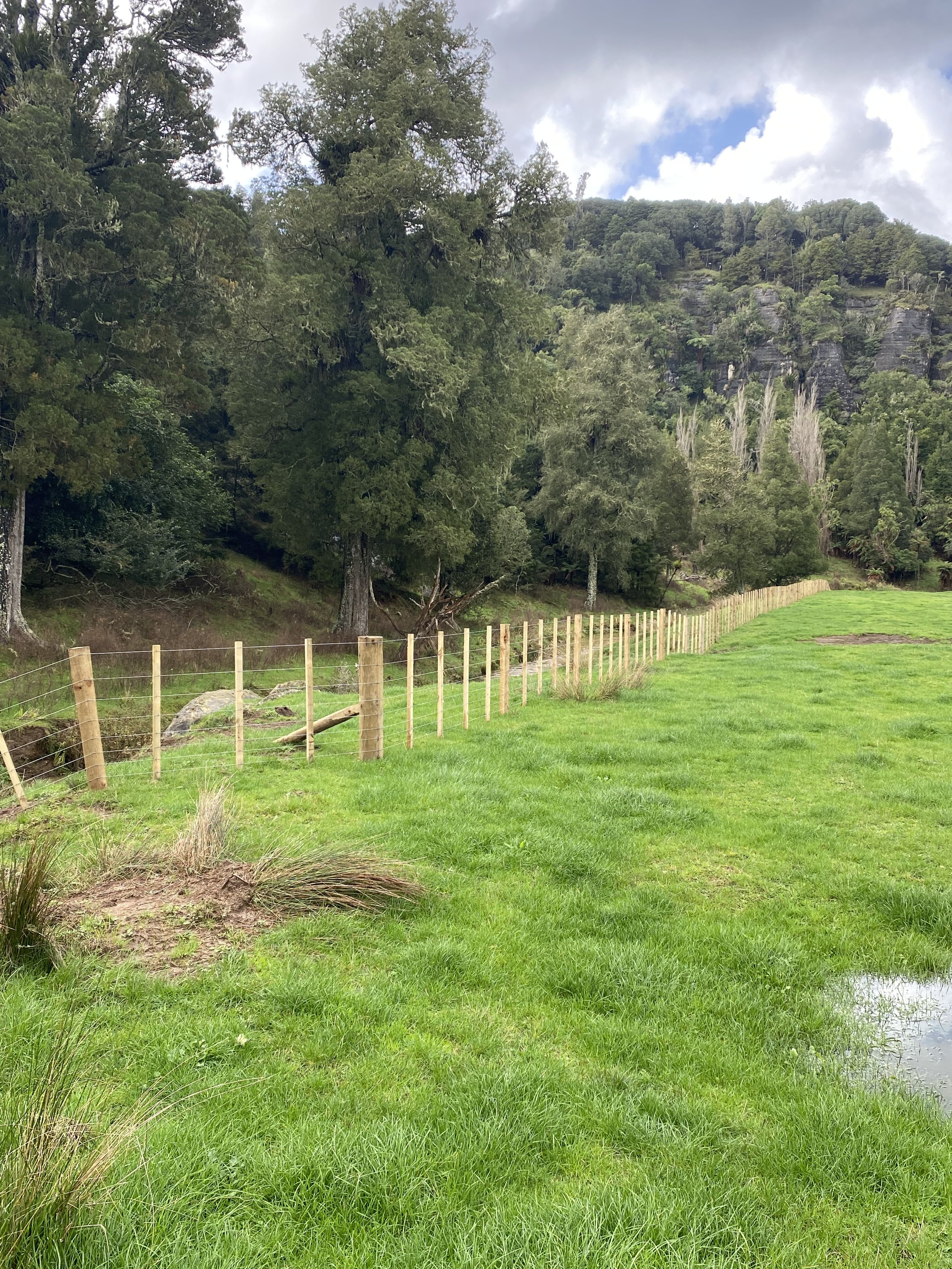 A rural landscape featuring a grassy field with a newly constructed wooden fence. The fence runs parallel to the forest edge, containing tall trees under a cloudy sky.