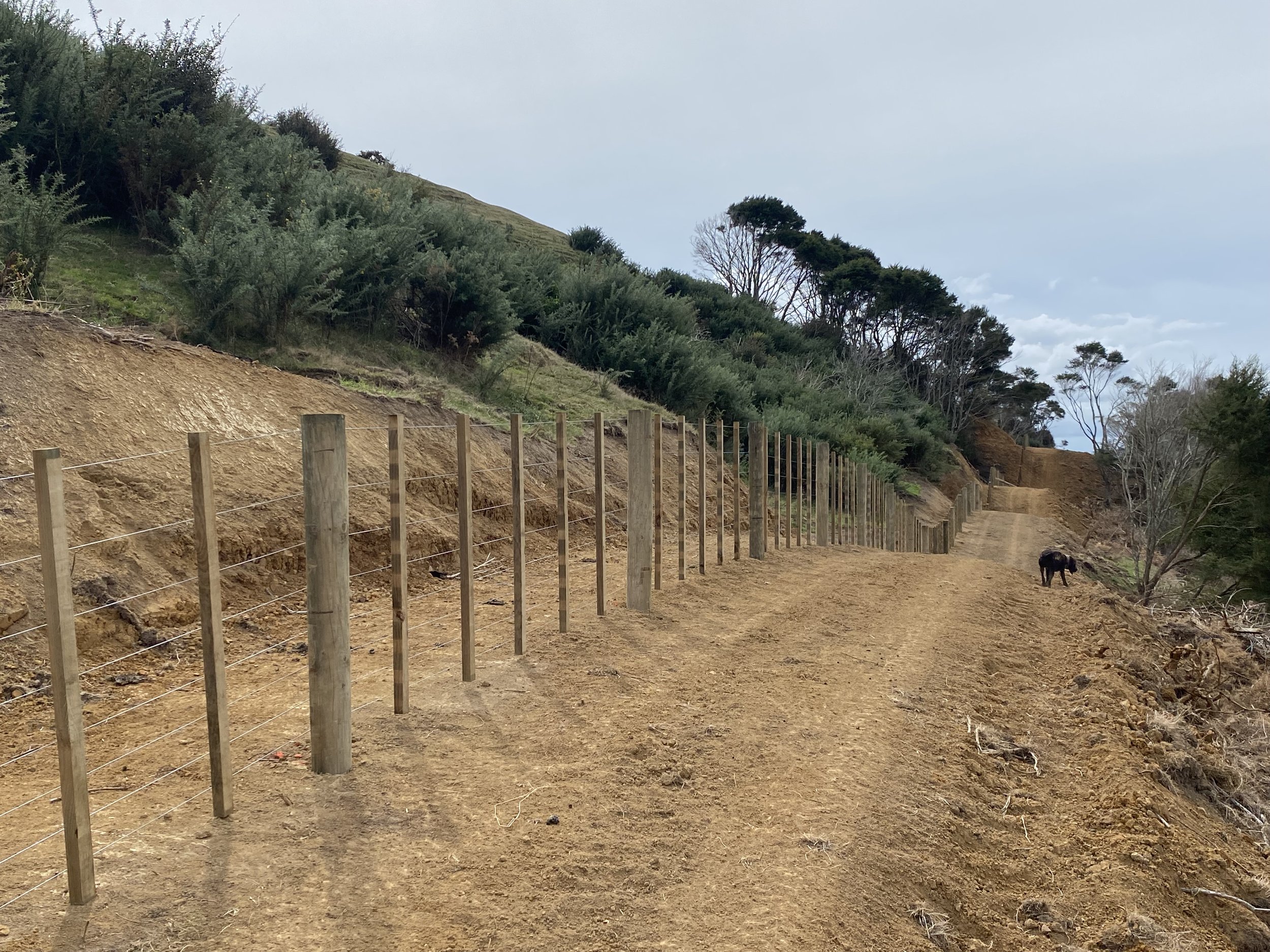 Dirt path with wooden fence posts and wire, lined with shrubs and trees on a hillside.