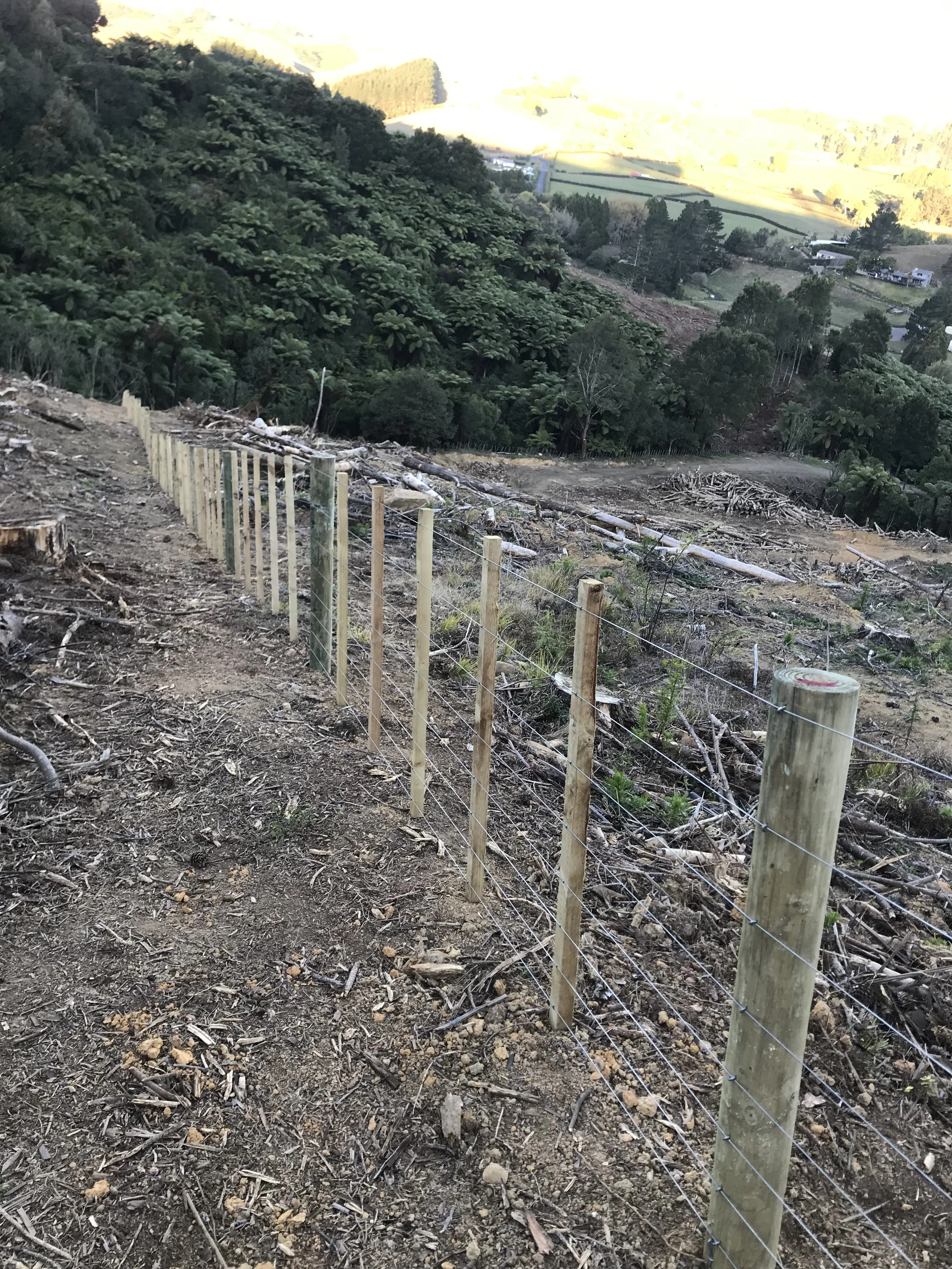 Wooden fence in a rural landscape with forest and cleared land