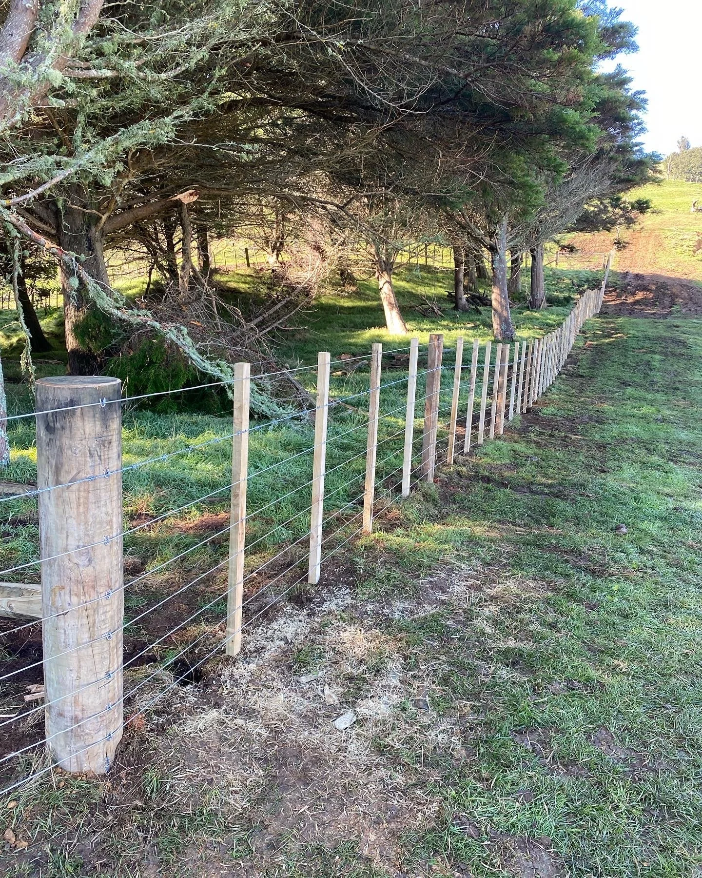 A wooden and wire fence bordering a grassy farm paddock with trees and sunlight filtering through branches.