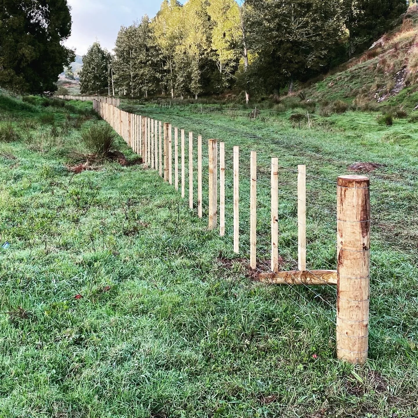 A newly constructed wooden fence running through a farm track fencing the perimeter.