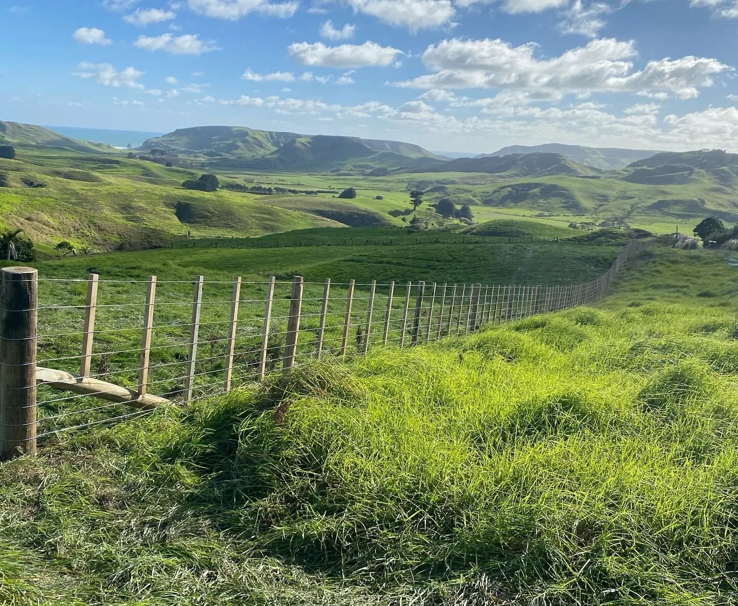 Scenic view of lush green hills with a wooden fence and wire mesh, under a partly cloudy blue sky.