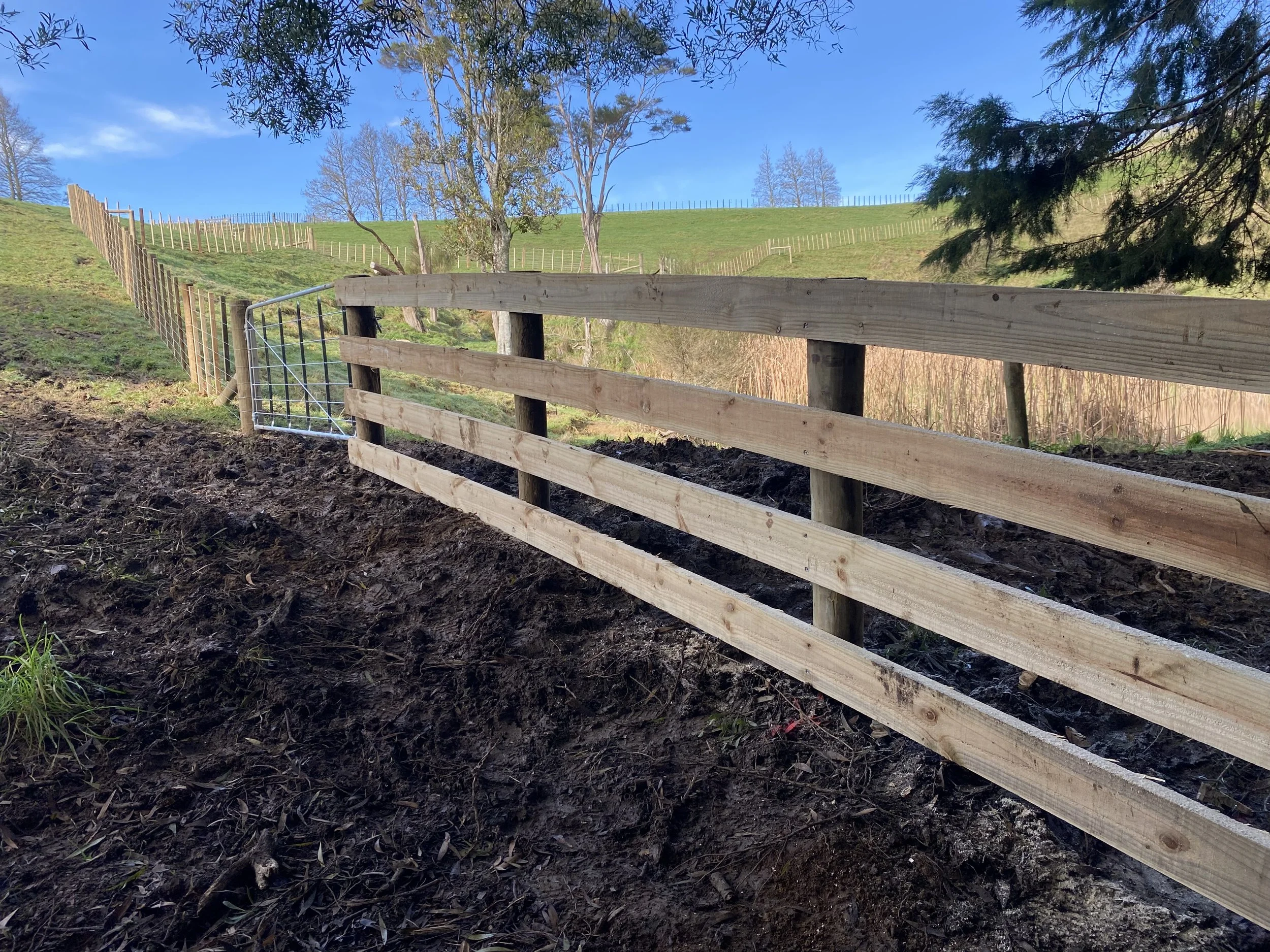 Wooden fencing with a metal gate for a stock yard on a muddy hillside, surrounded by grass and trees under a blue sky.