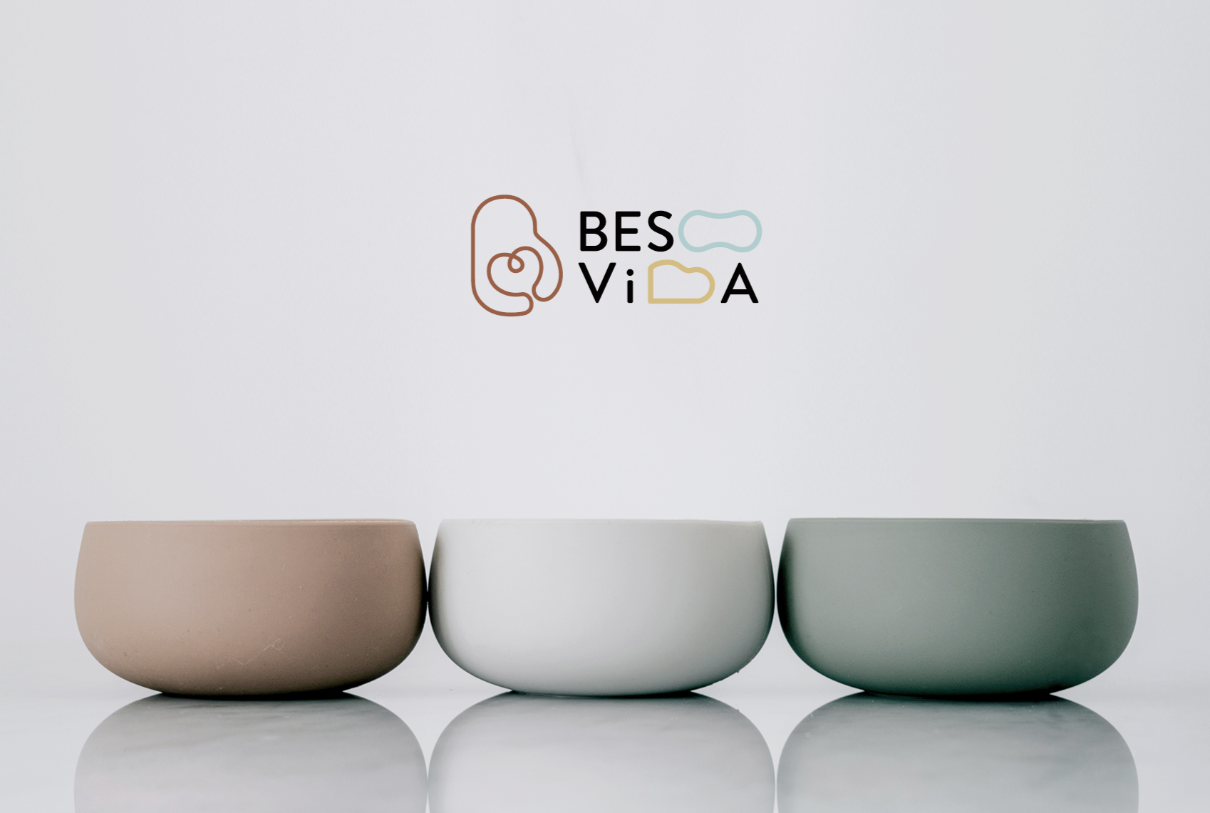 Besovida
