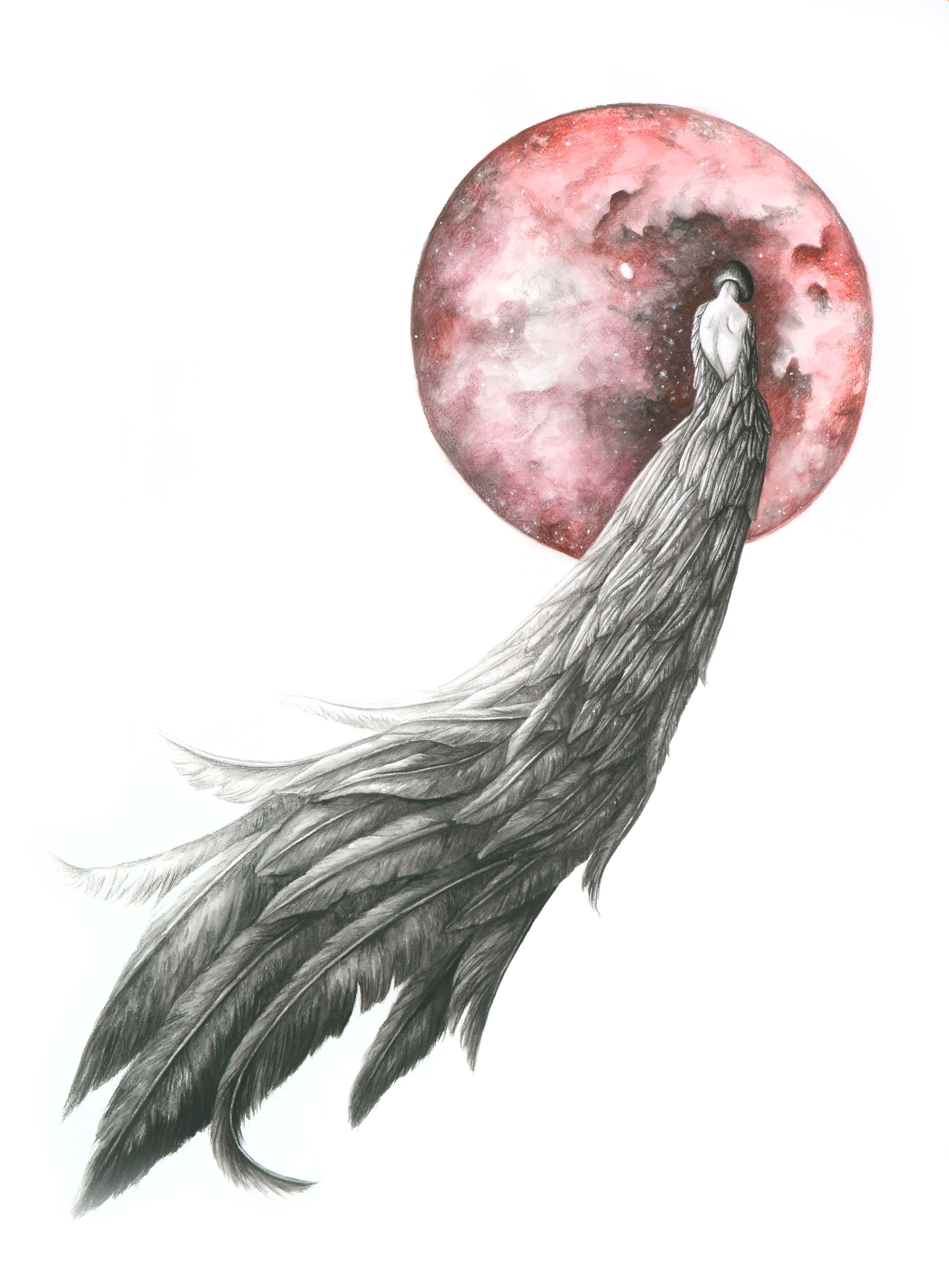 "Red Moon" Charcoal and color pencil on paper. 22" x 26" $500