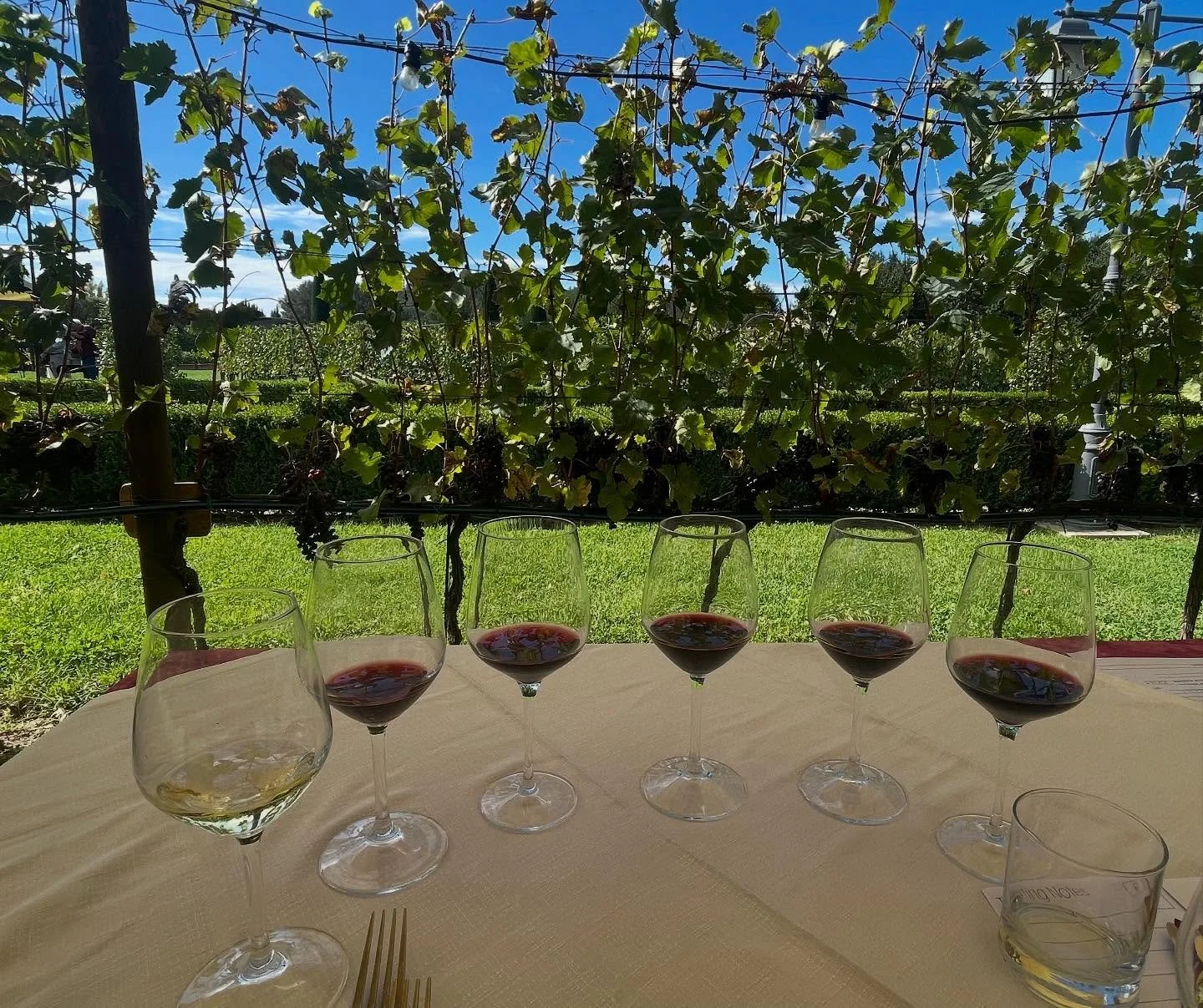 A little wine flight never hurt anyone 

#wine #latinasandwine #vi&ntilde;adelatinas