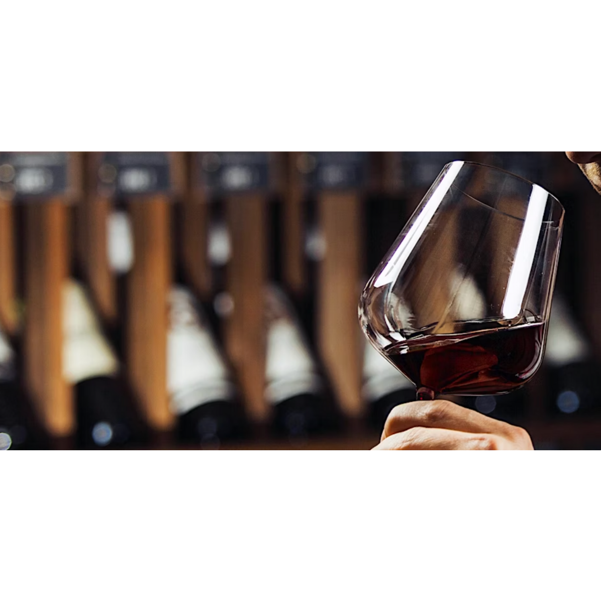 Uncorked Wine Tasting: Southern Italian Wine 101
