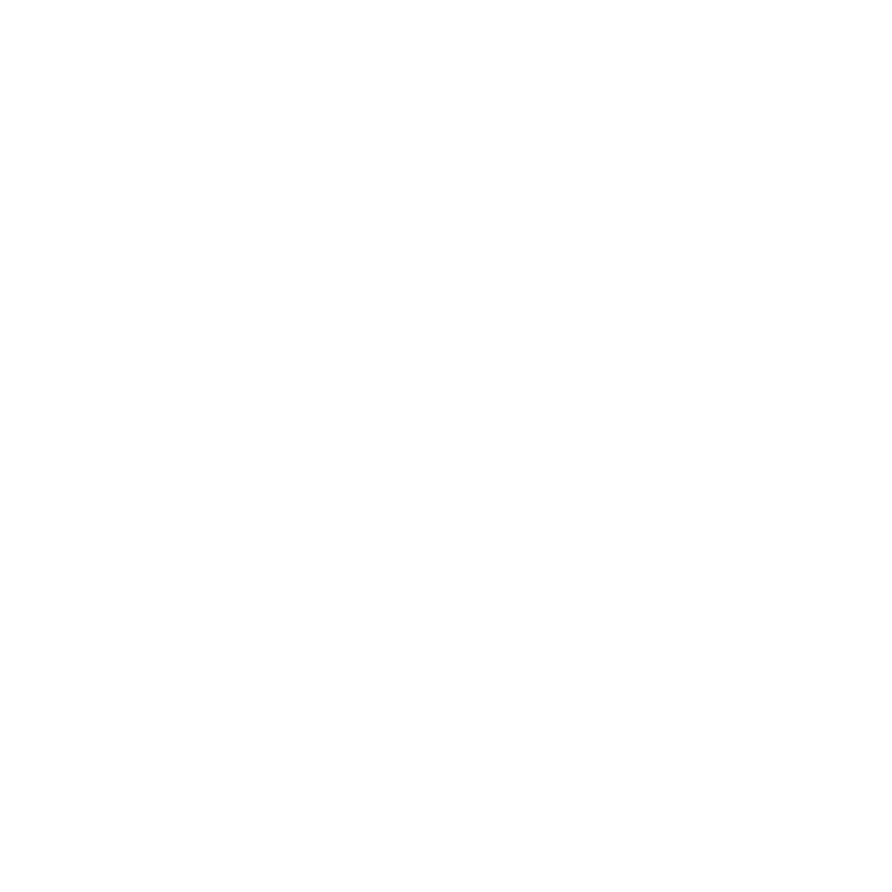 LT CONSULTING