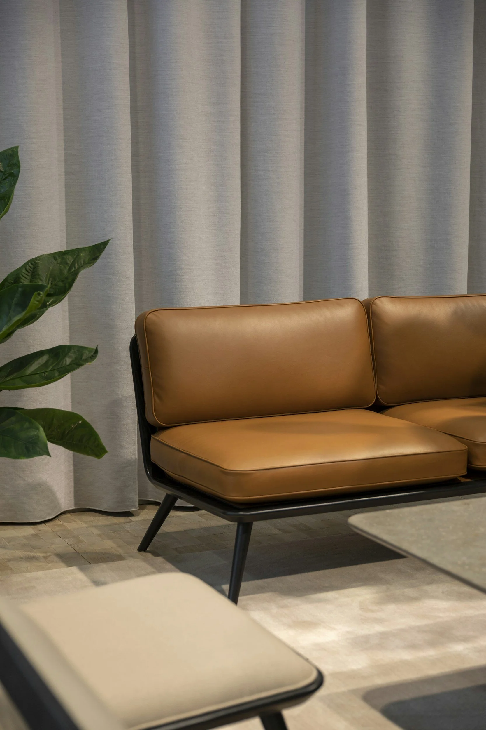 Modern living room with brown leather sofa, green plant, and gray curtains.