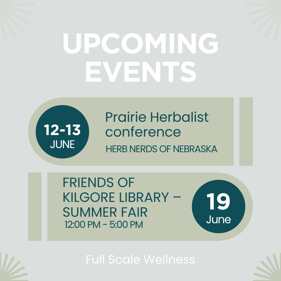 🌿 July Updates: Where to Find Me + Summer Product News