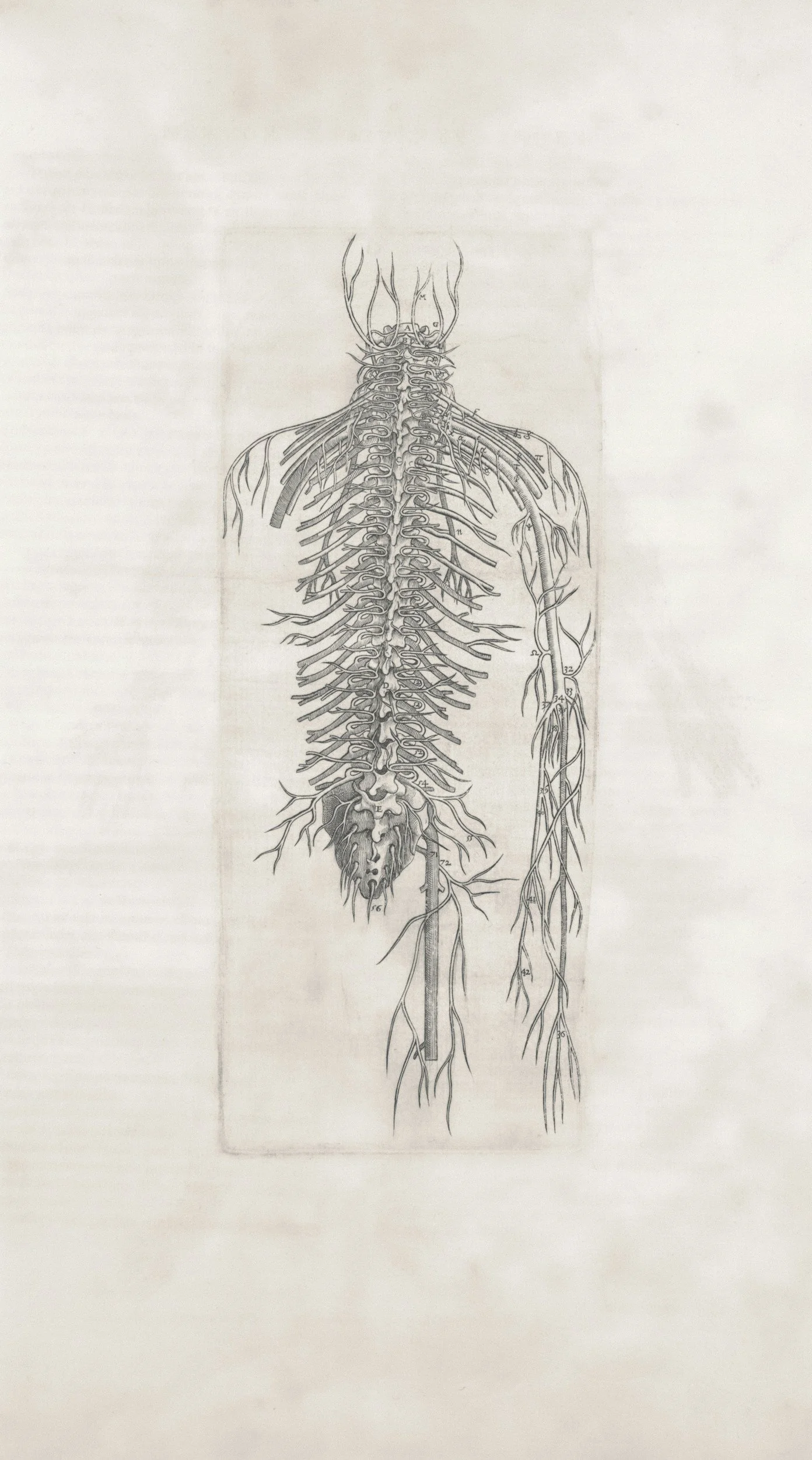 What Can’t Acupuncture Treat? An Acupuncturist’s Honest Answer