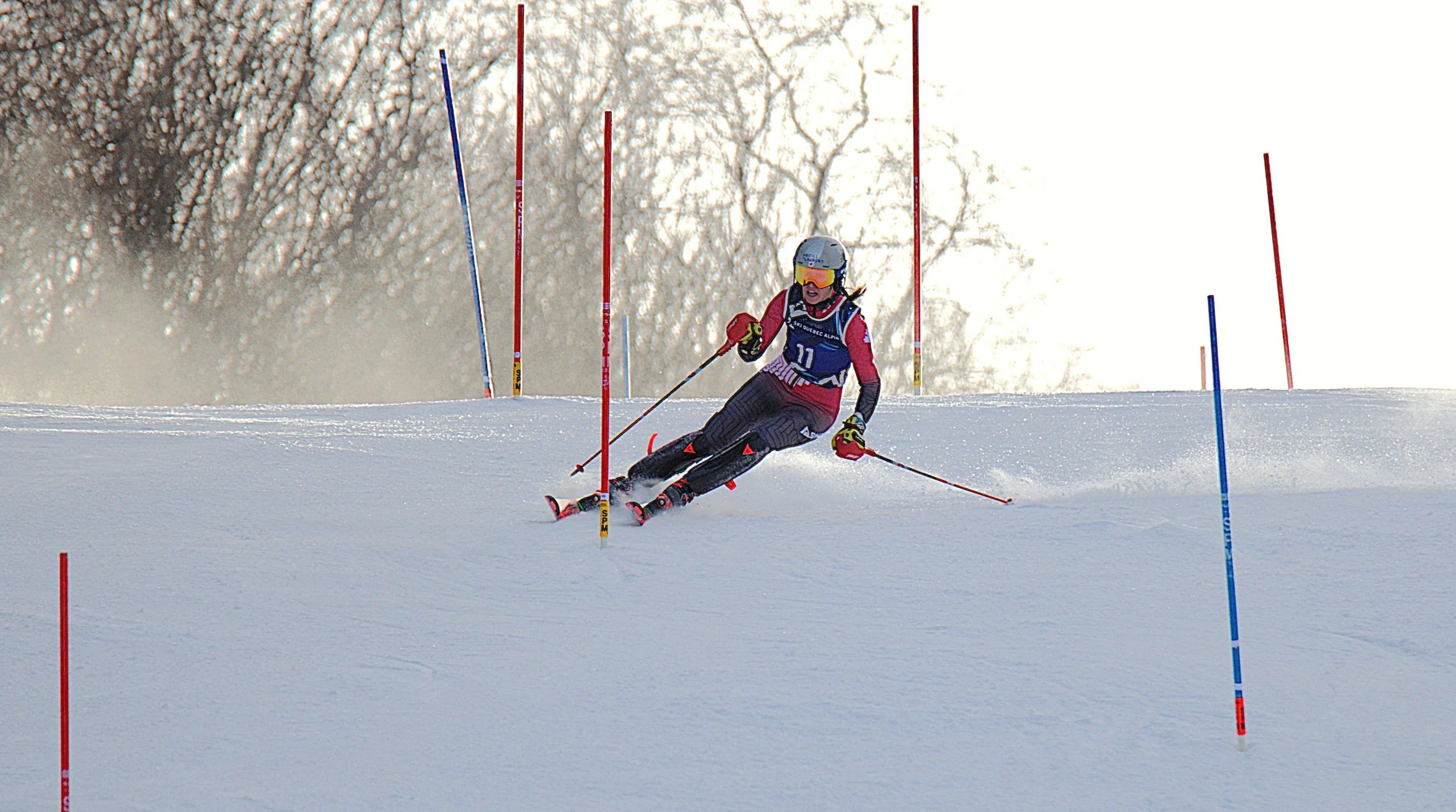 DSC_7697.jpg